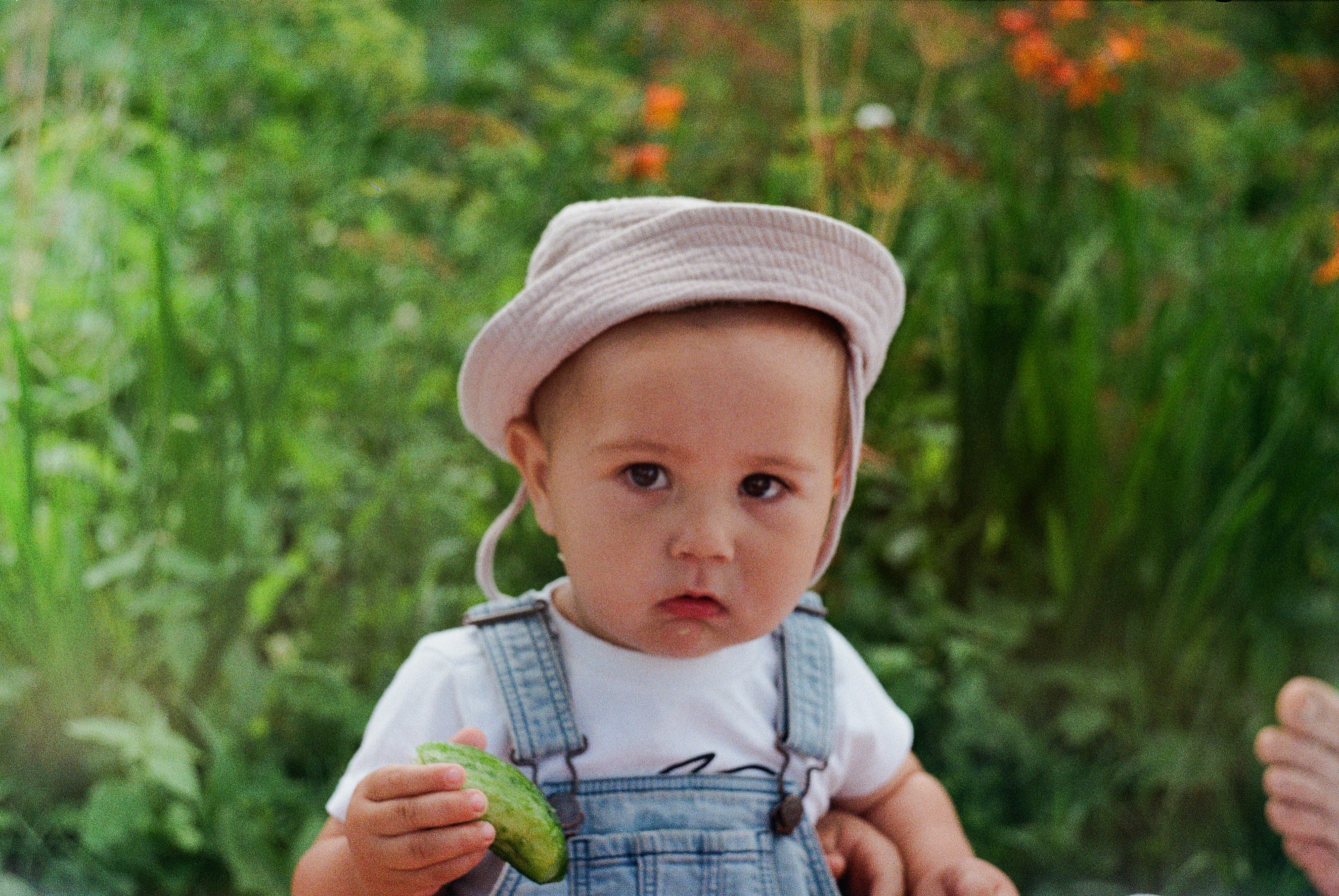 Baby in a hat holding a slice of cucumber