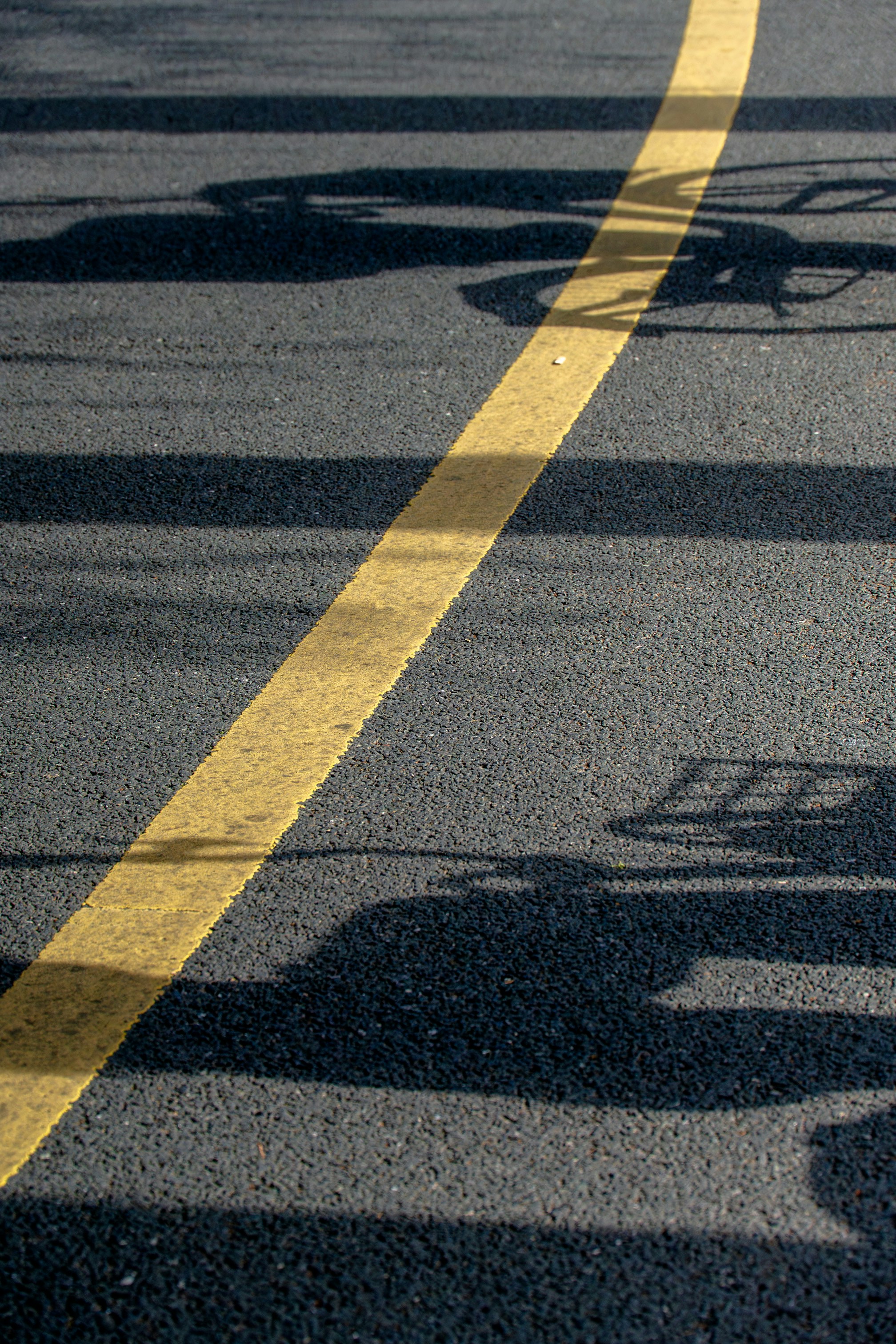 Shadows of bicycles on asphalt with yellow line.