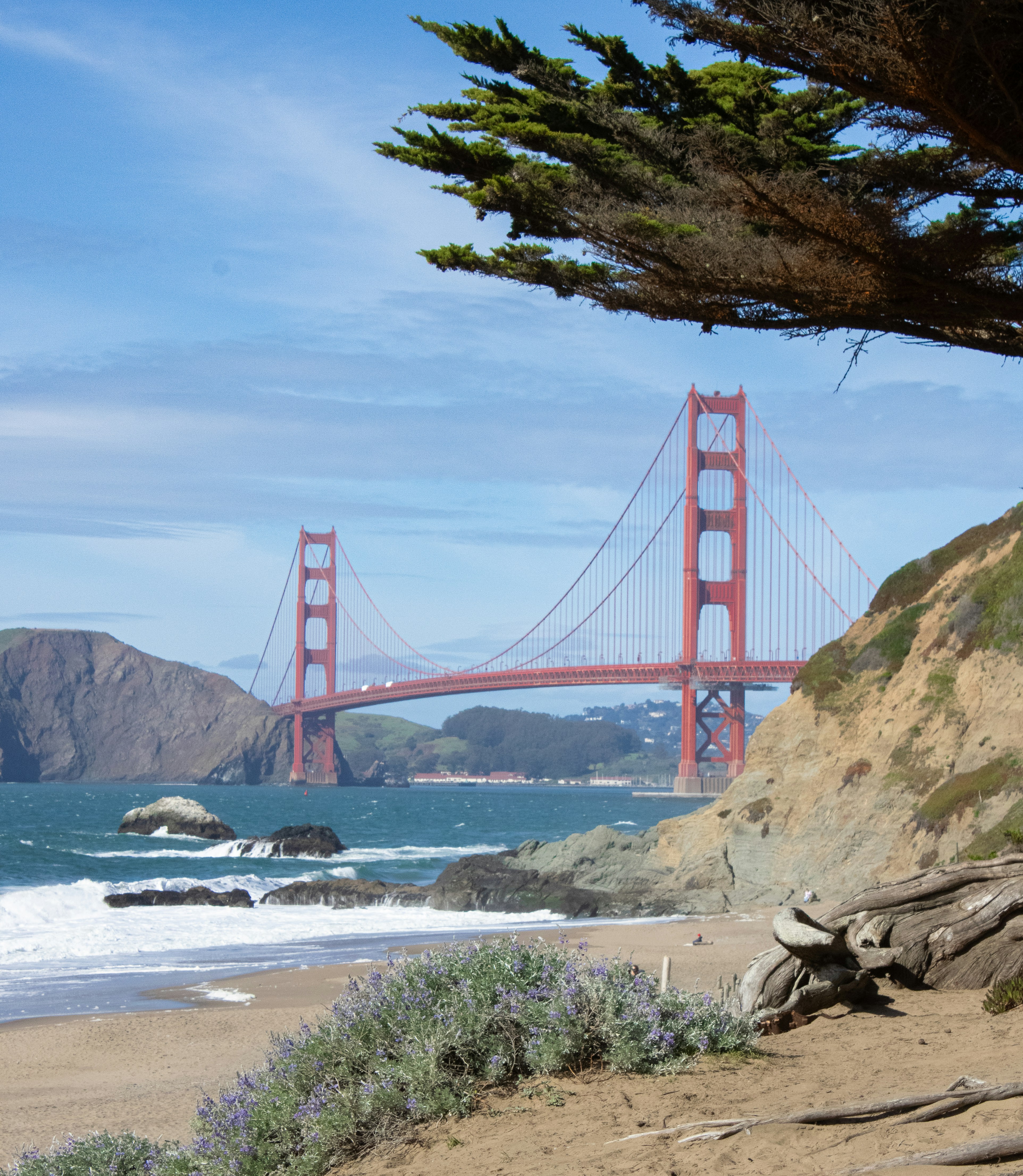 Photo by olivia_c987