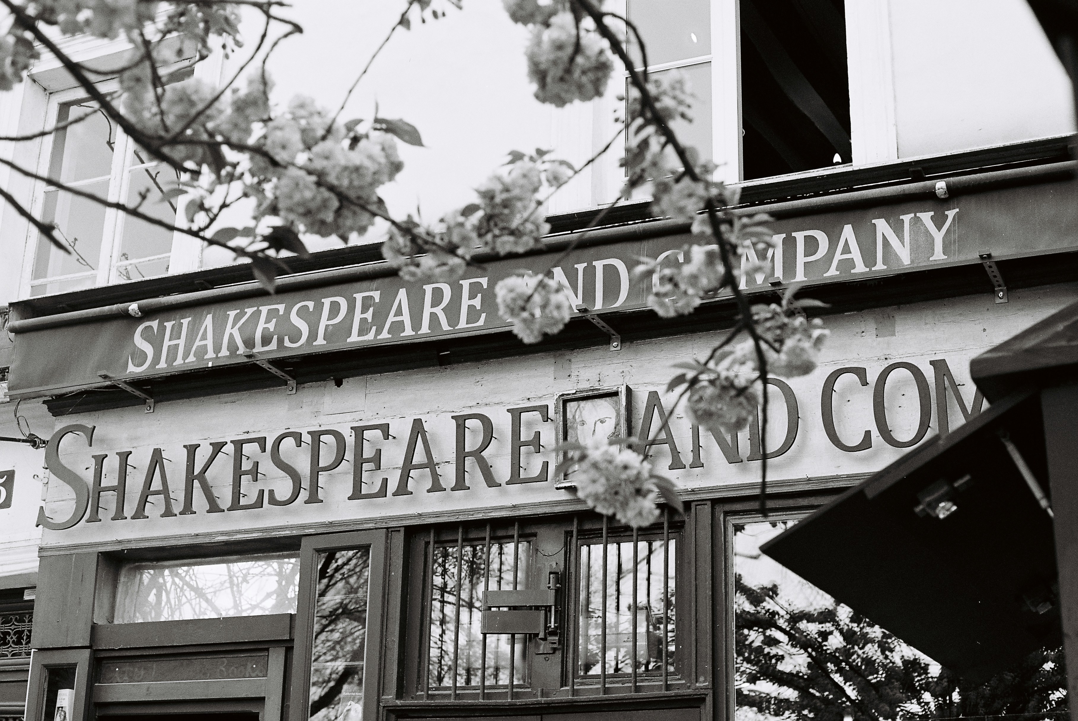 Shakespeare and company bookstore with flowering branches
