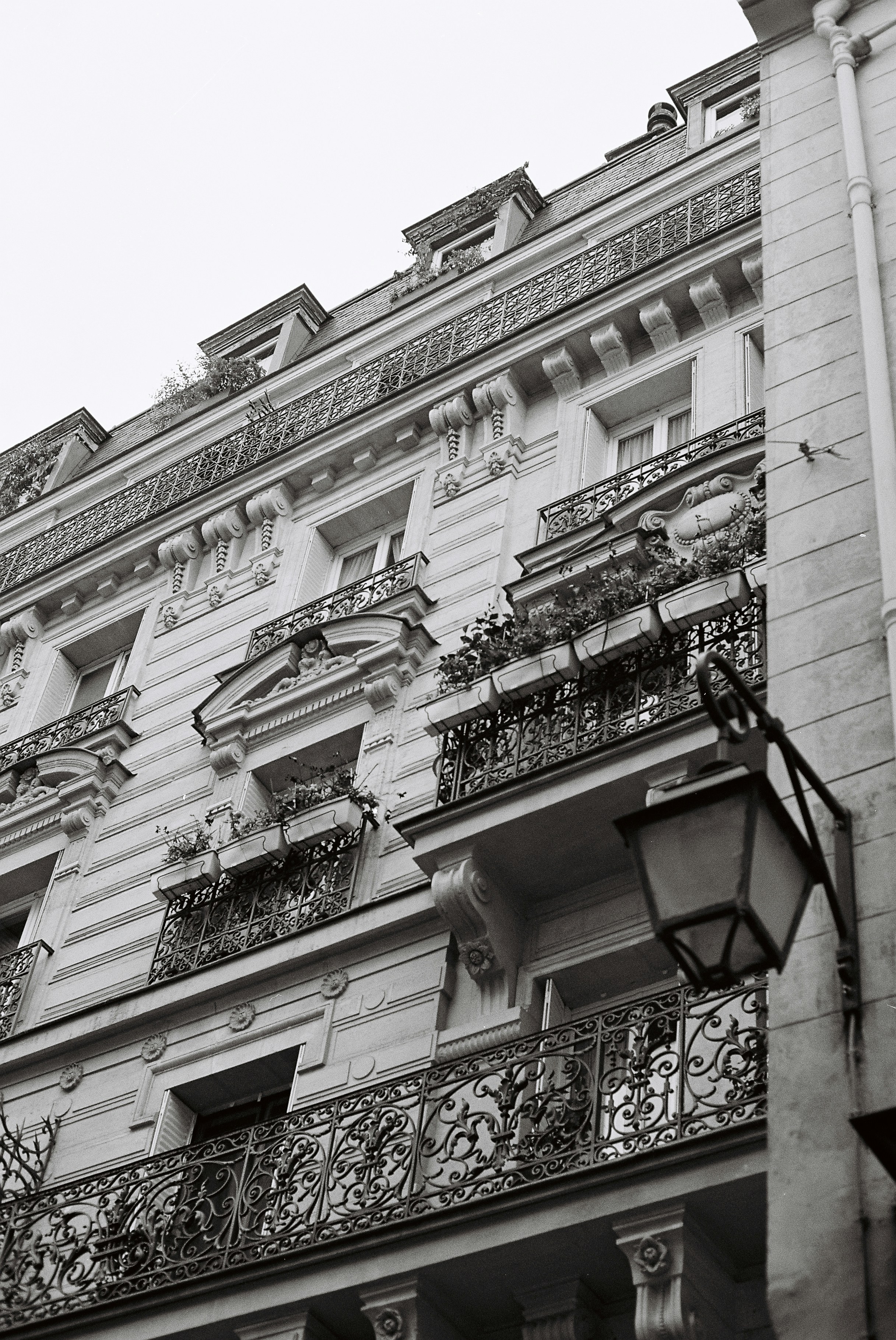 Photo by tanyabarrow