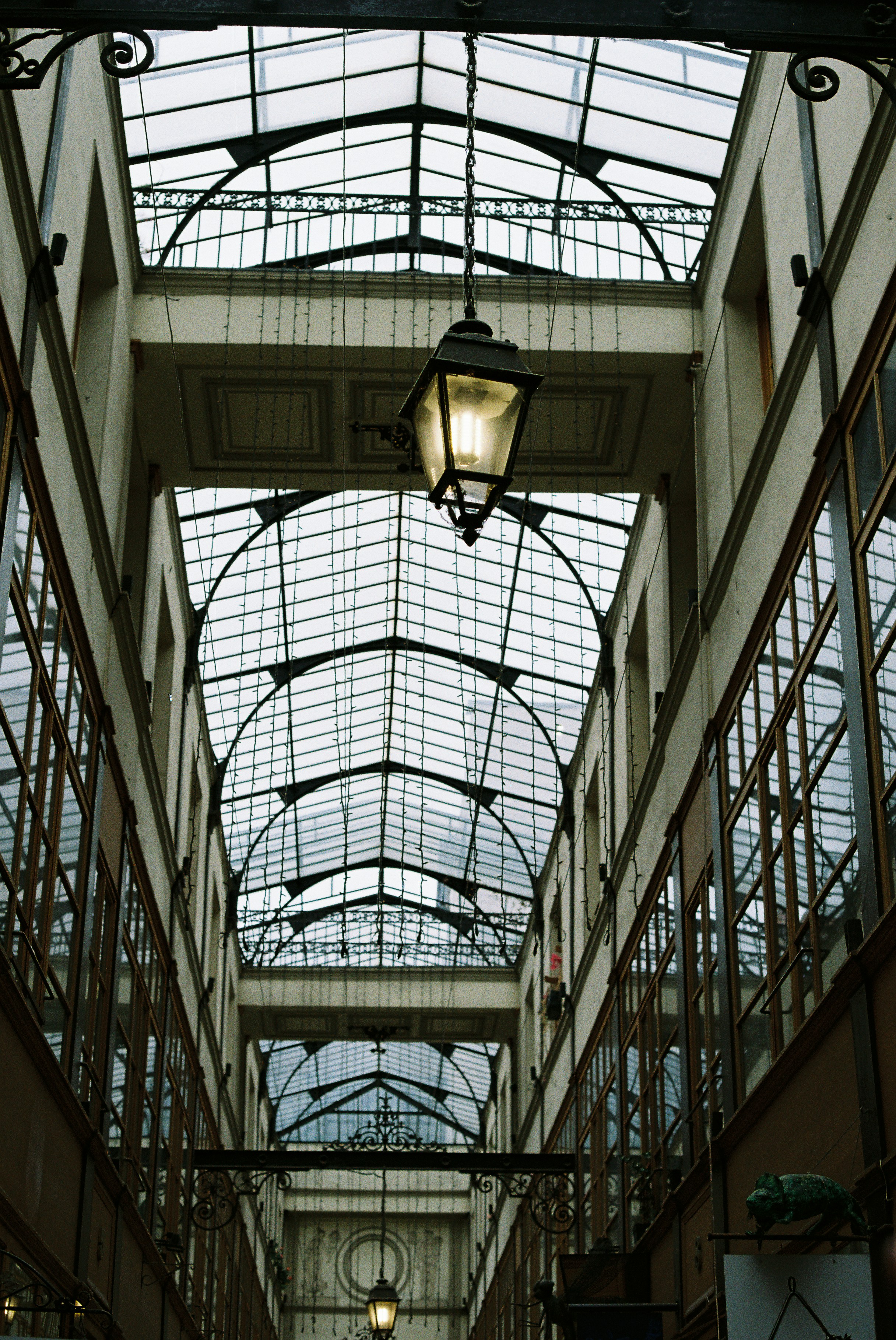 Photo by tanyabarrow