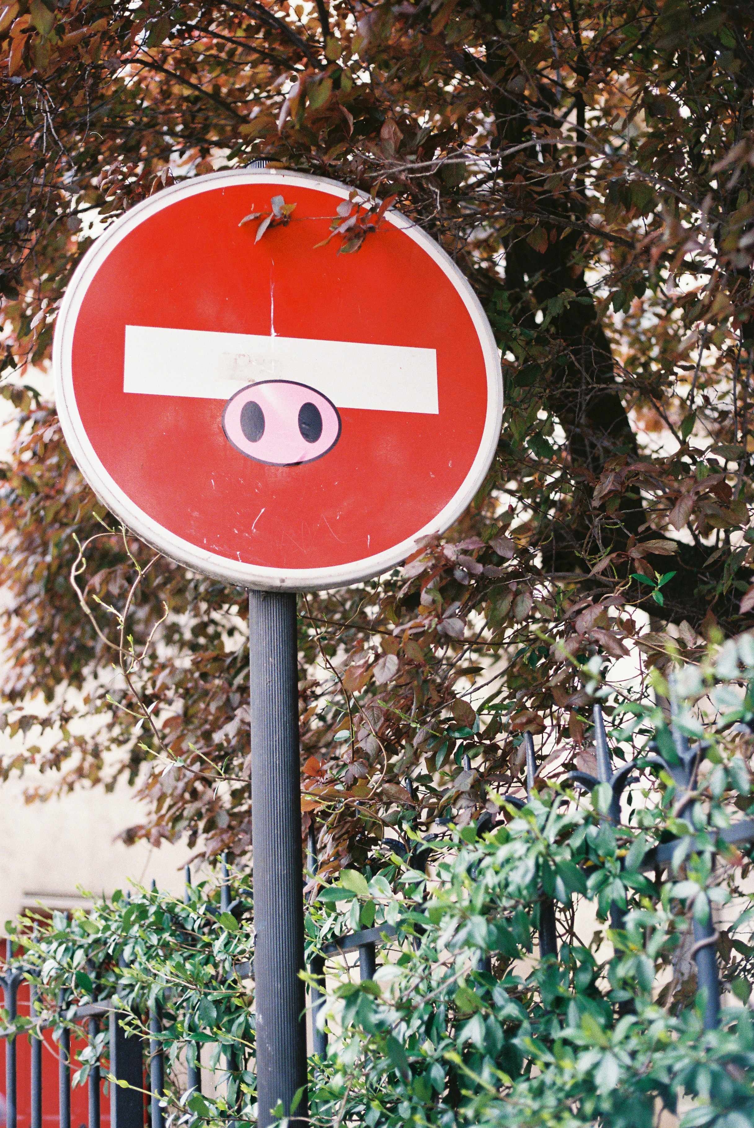A stop sign with a pig's face drawn face