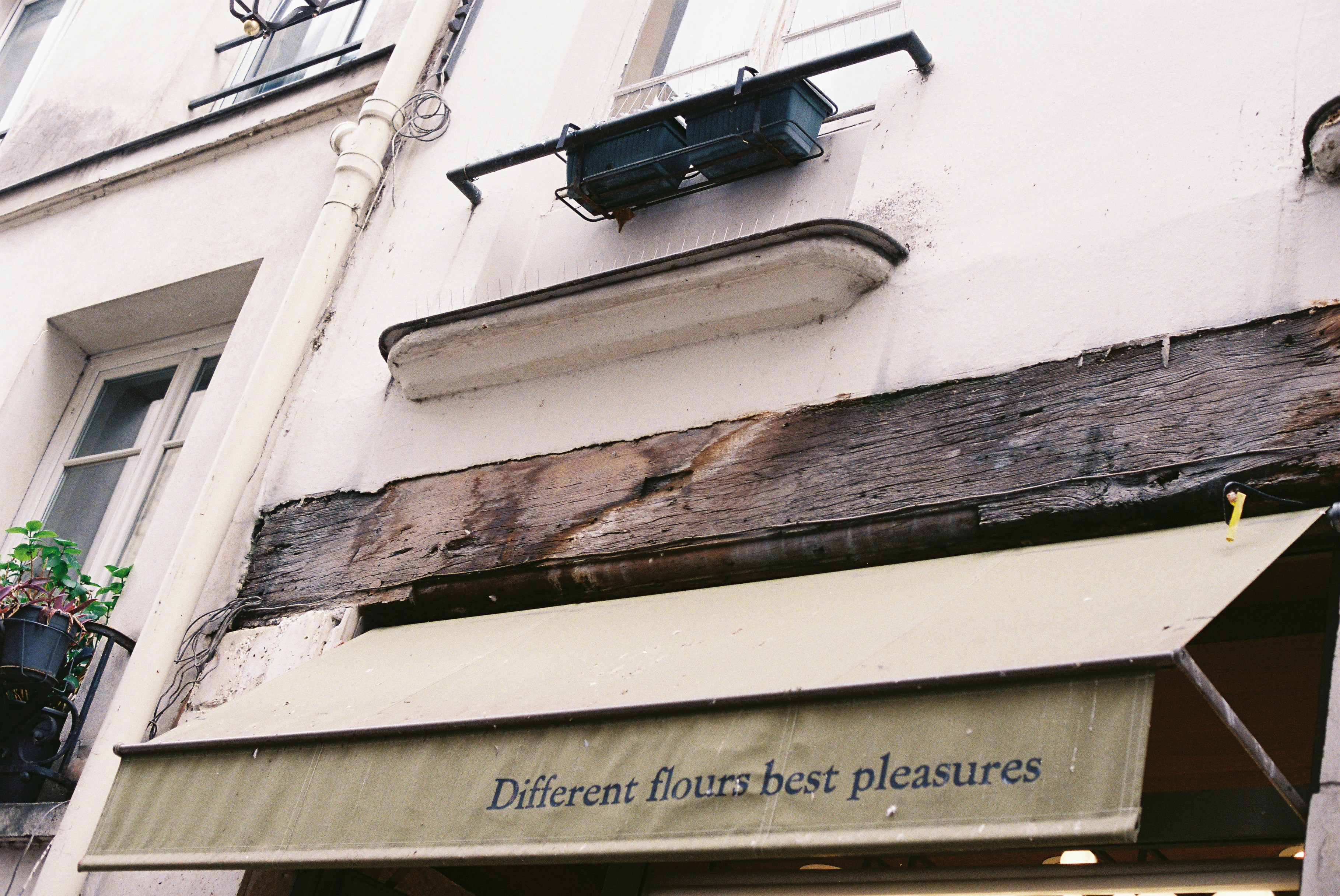 Place des pains