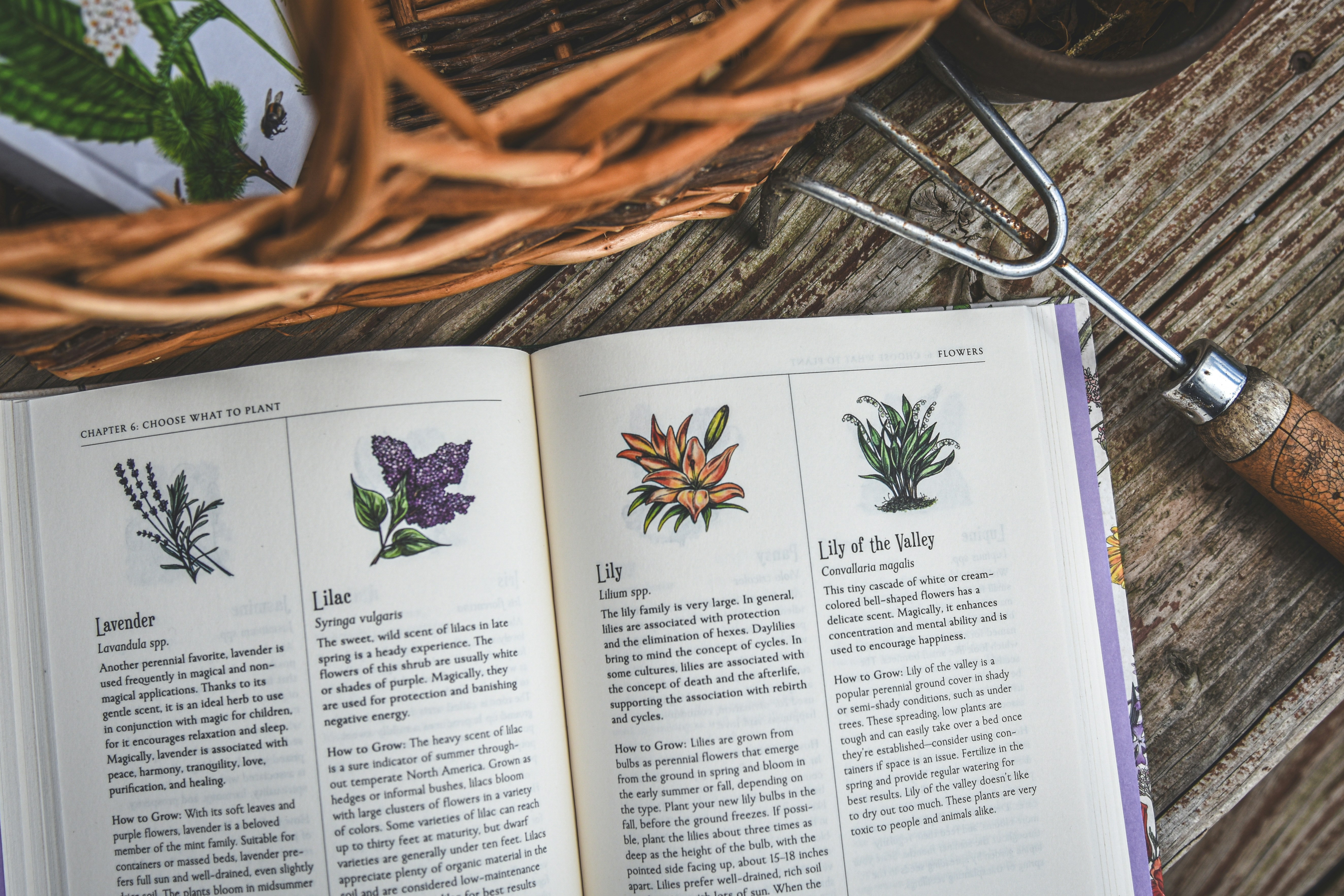 Open book with flower illustrations and gardening tools