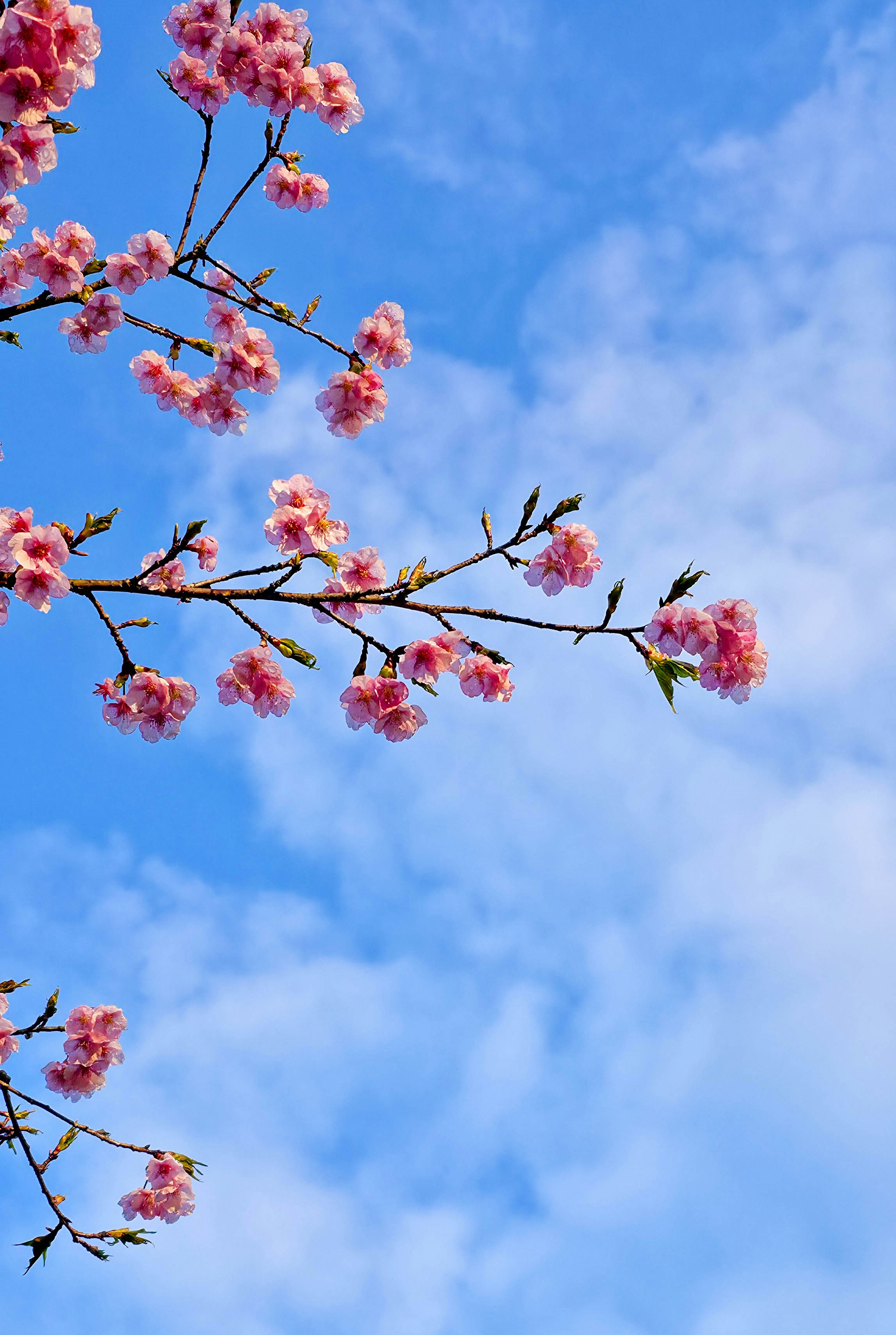 Photo by nachoestevo