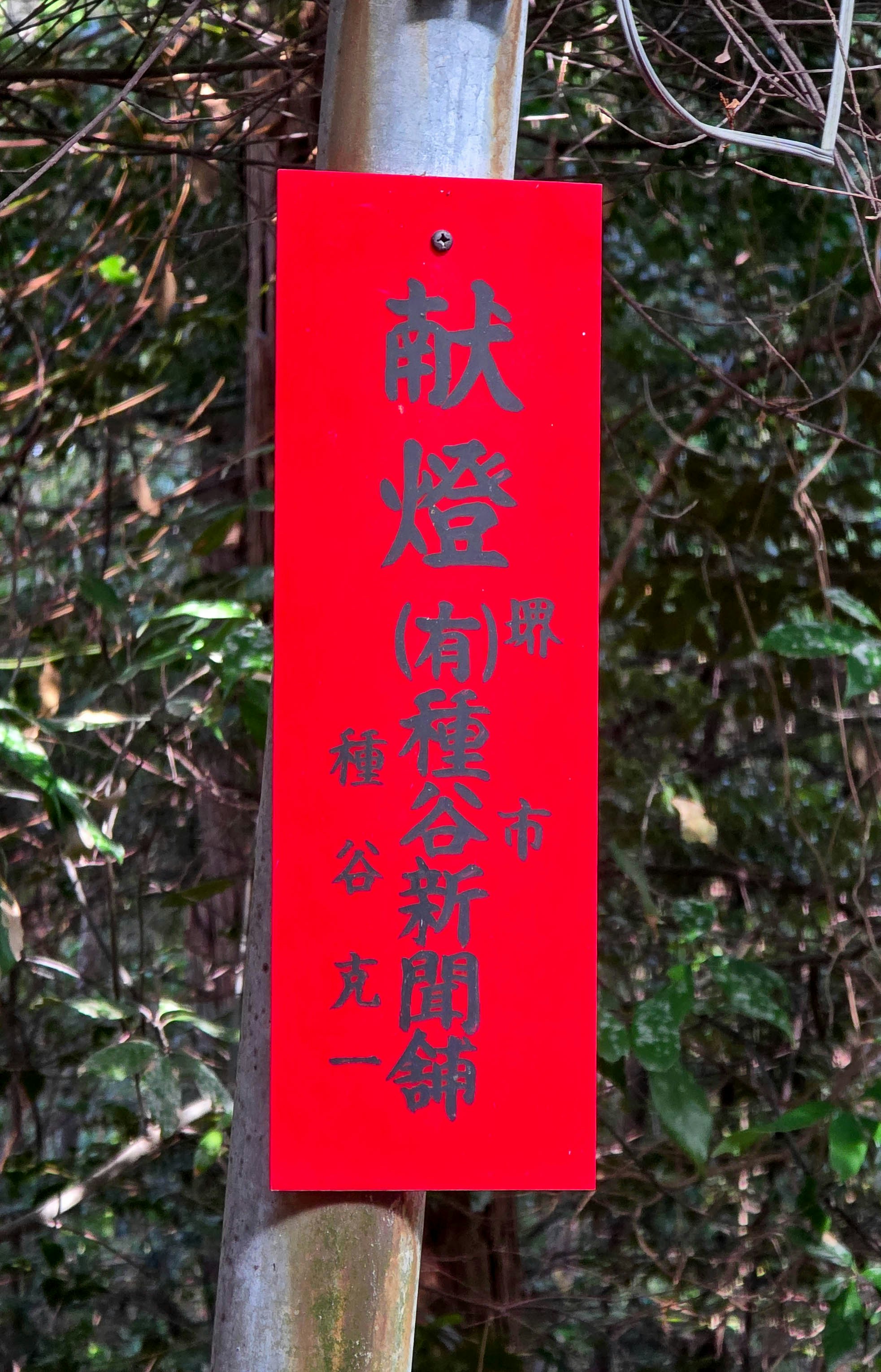 Photo by nachoestevo