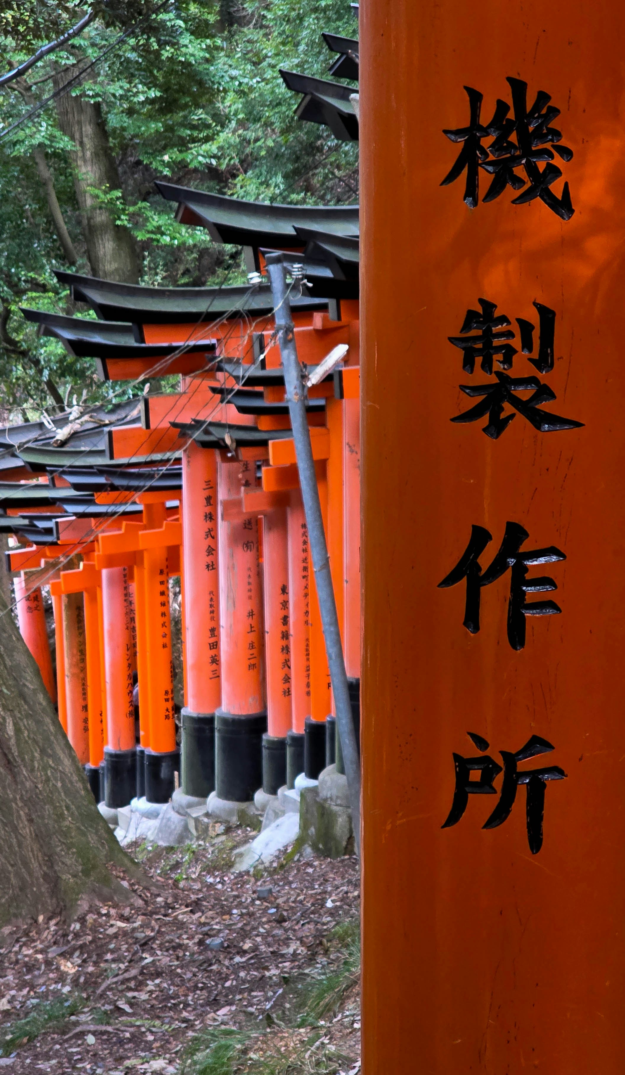 Photo by nachoestevo