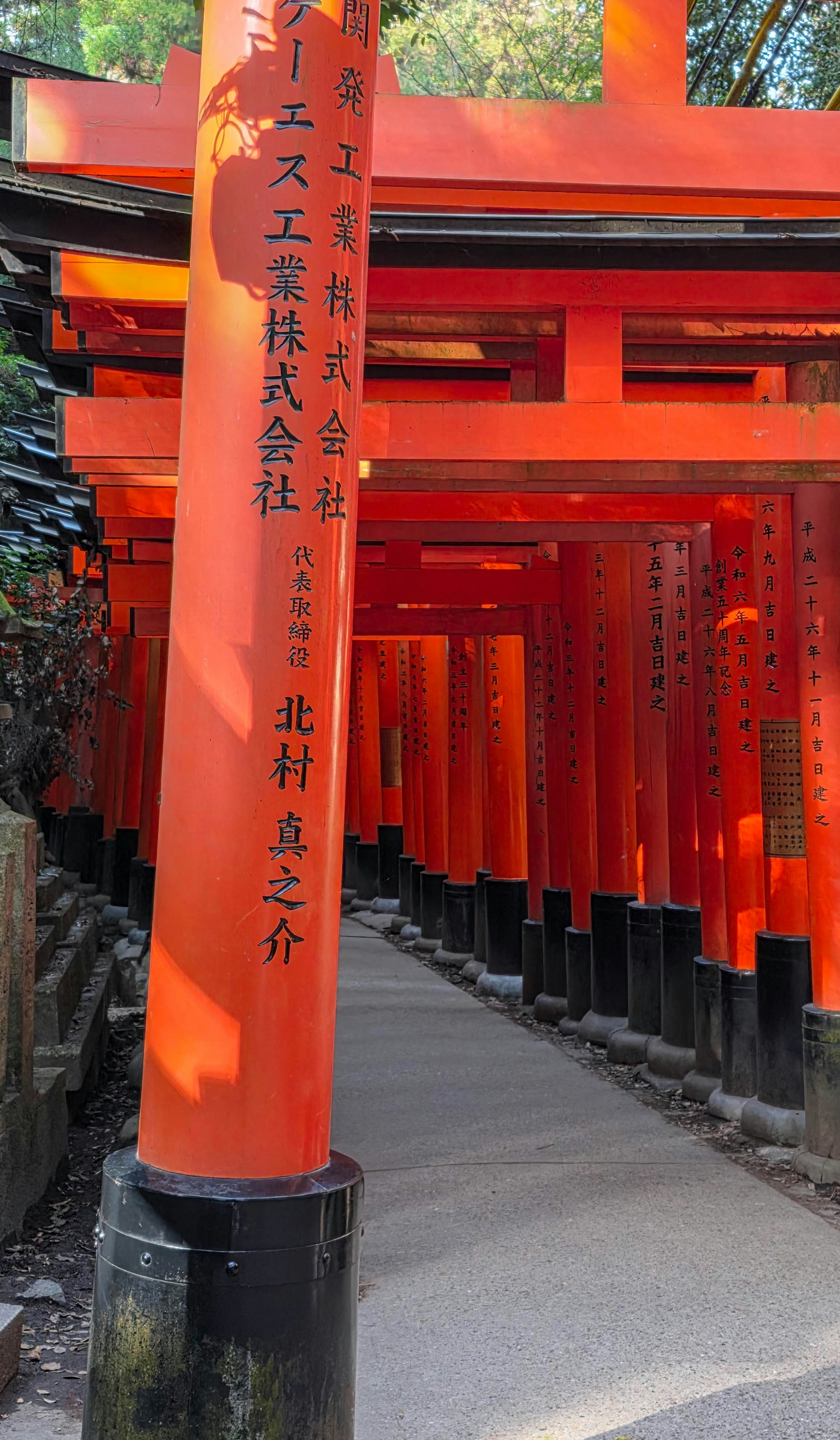 Photo by nachoestevo