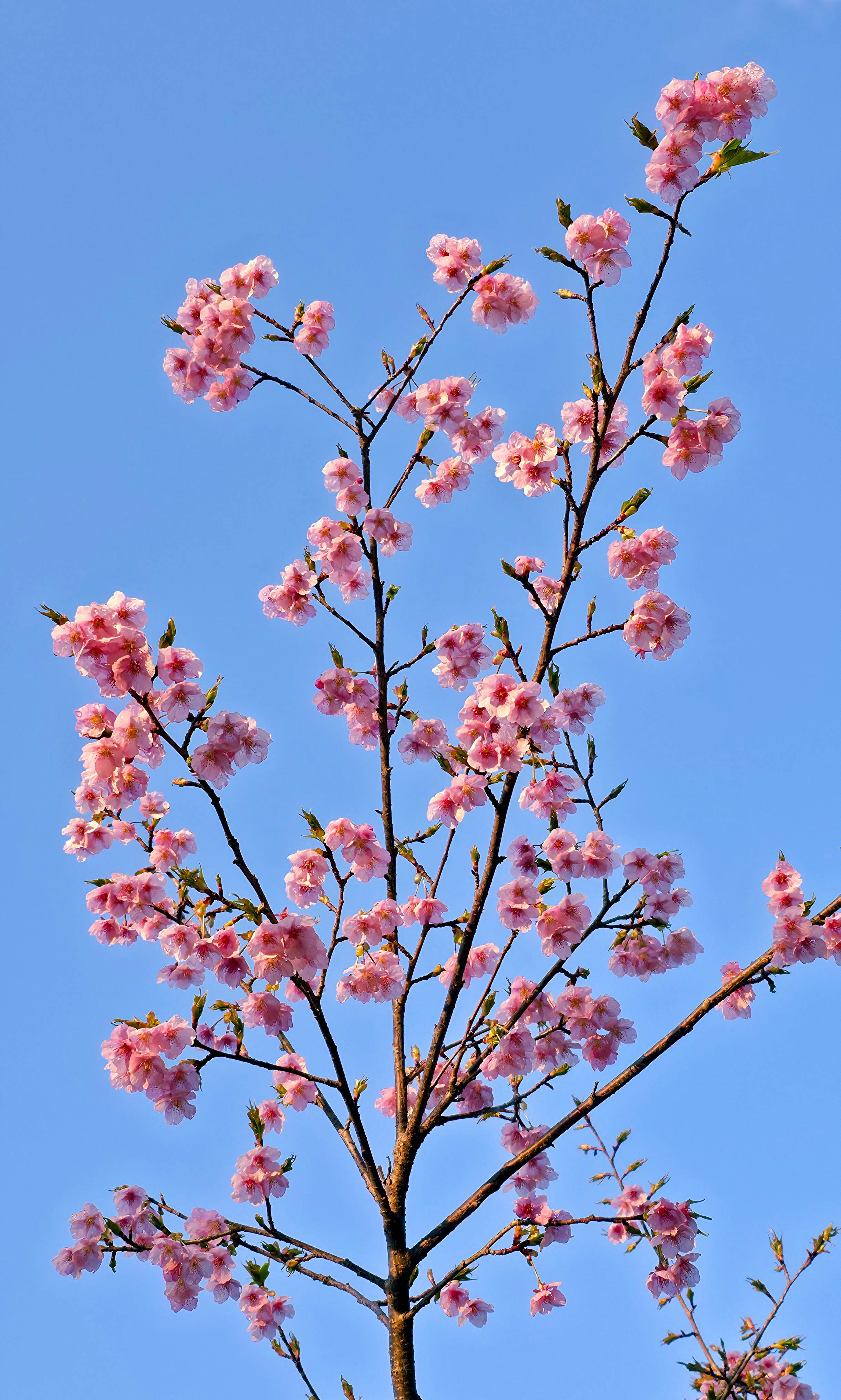 Photo by nachoestevo