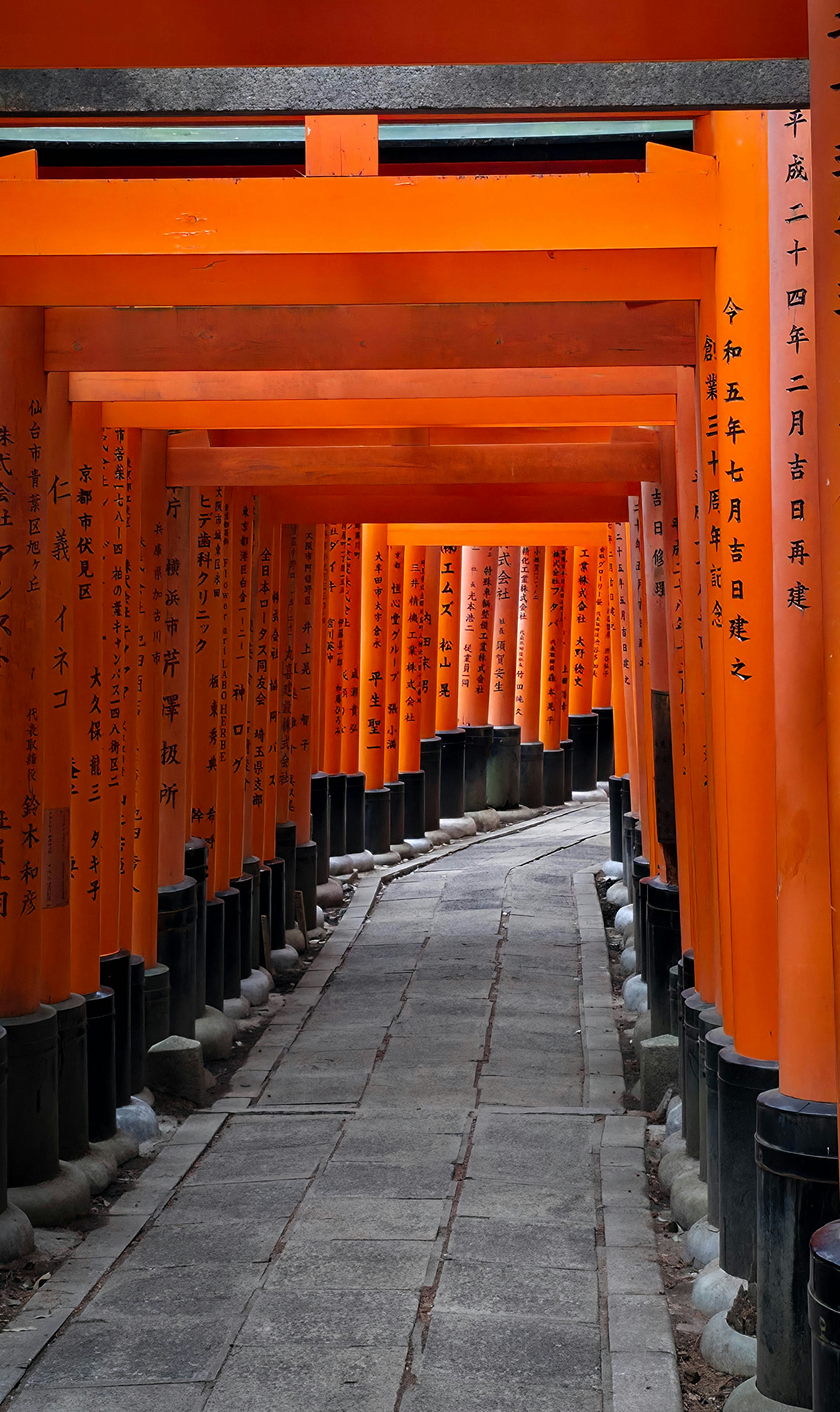 Photo by nachoestevo