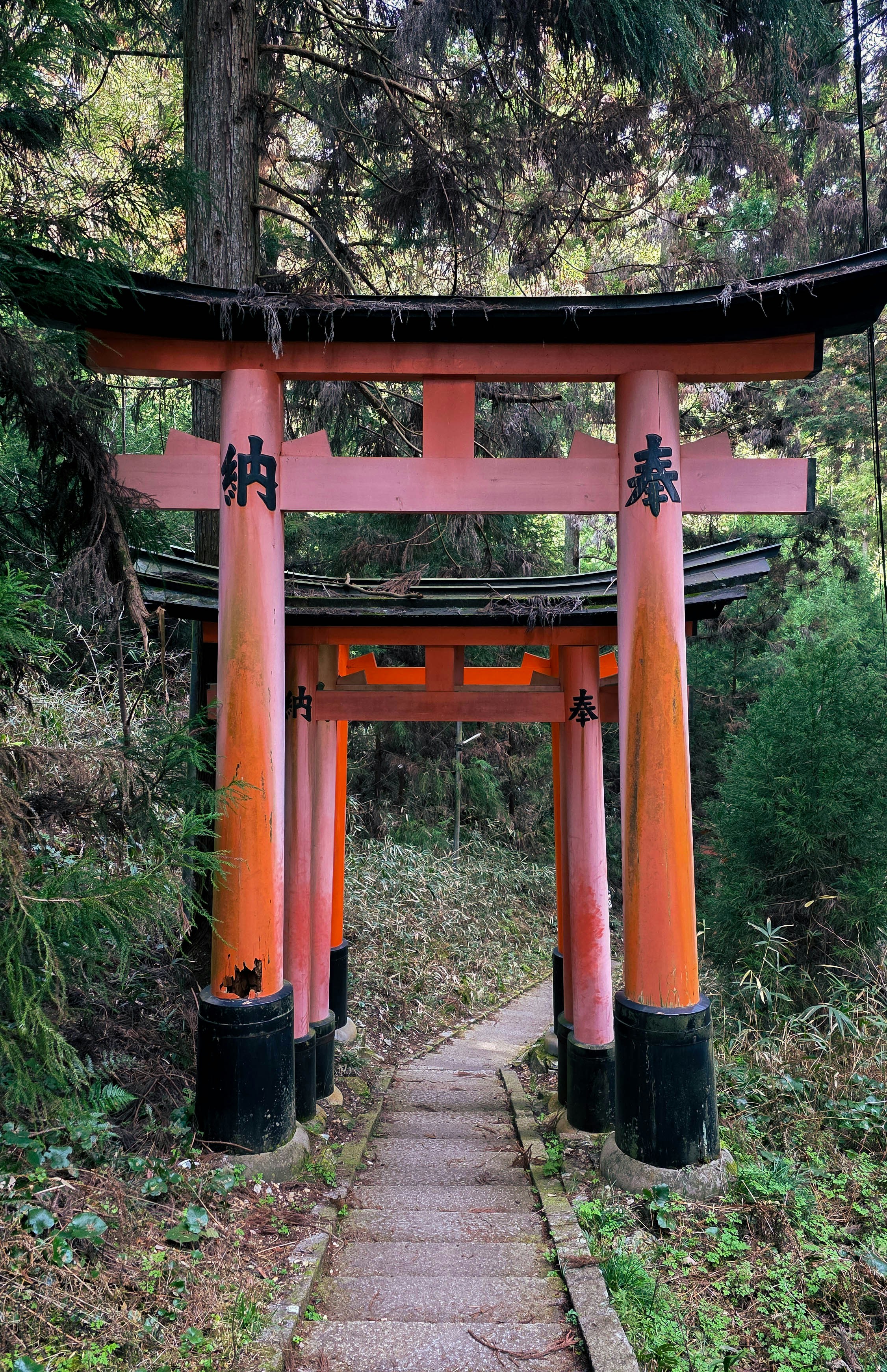 Photo by nachoestevo