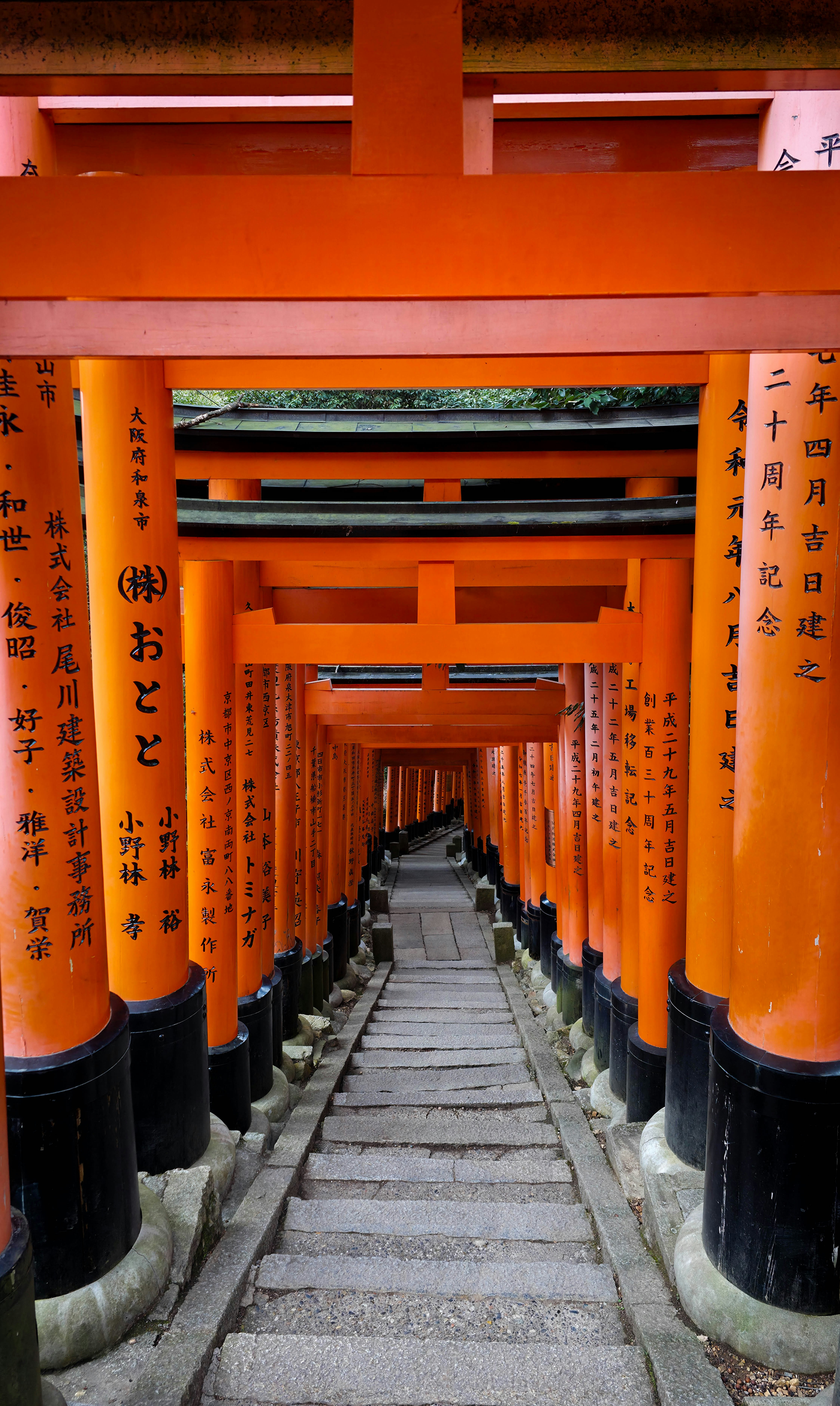 Photo by nachoestevo