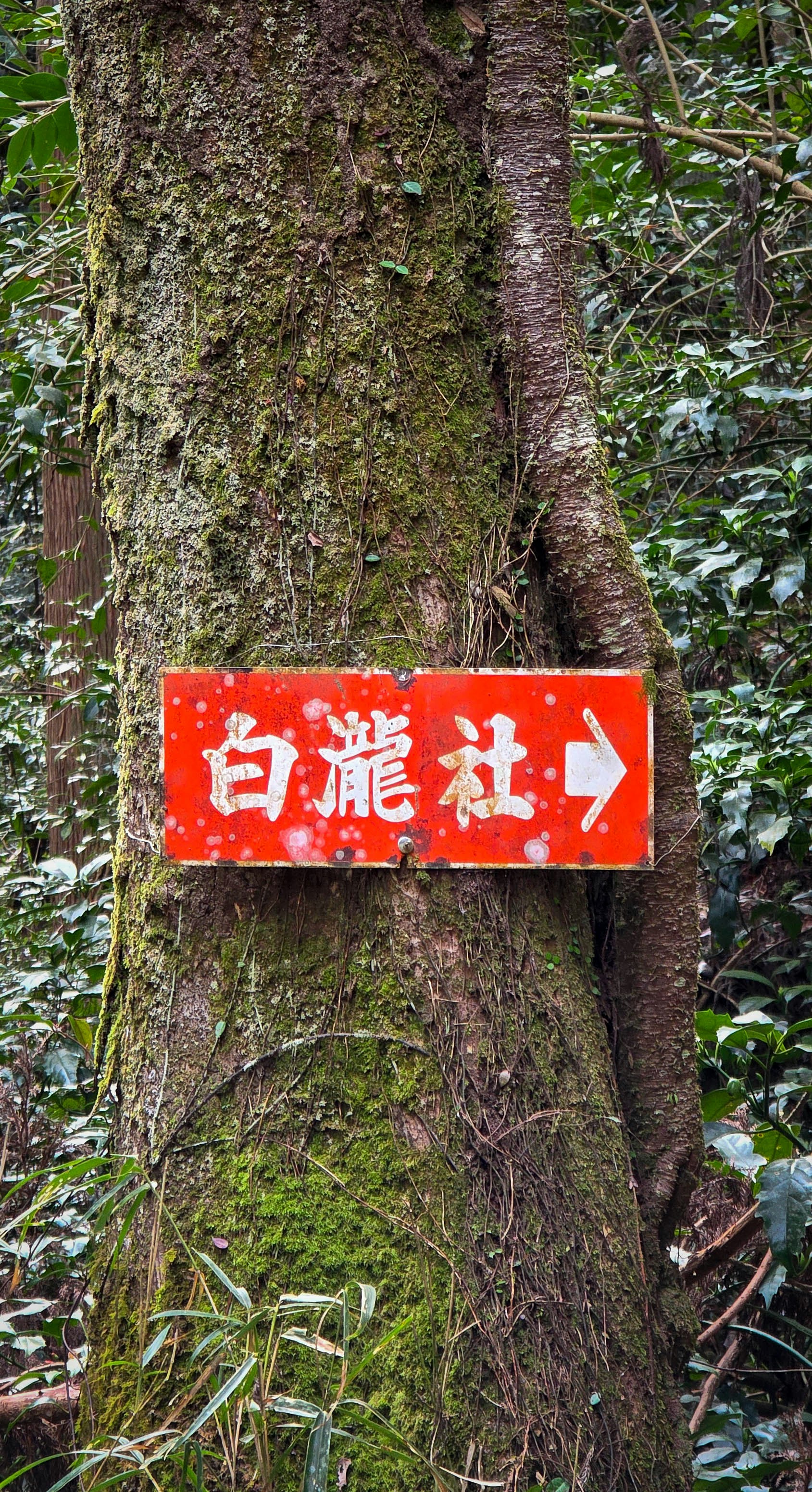 Photo by nachoestevo