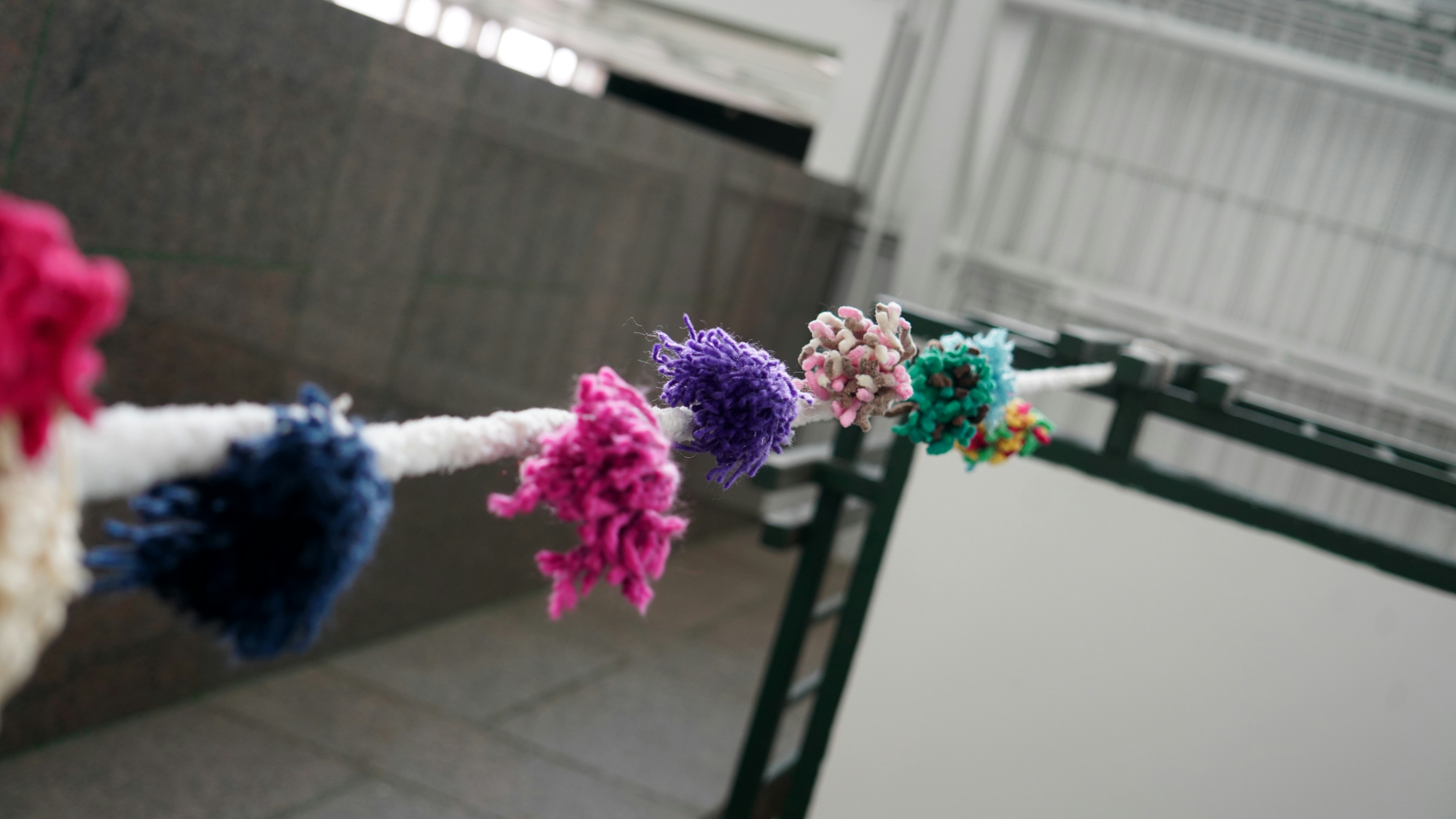 Colorful pom-poms on a white rope