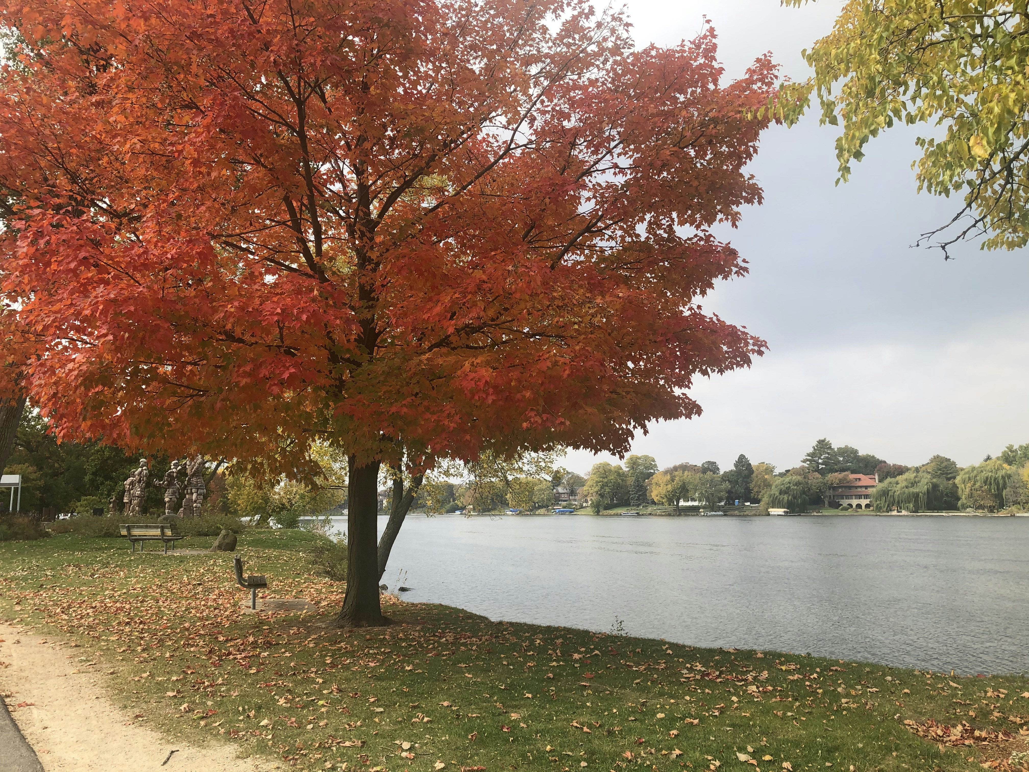 Maple City Veteran's Memorial Park