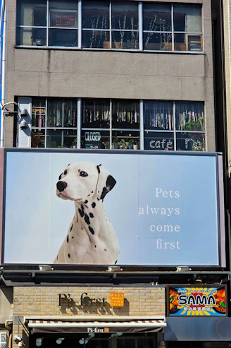 Dalmatian dog on a billboard with text