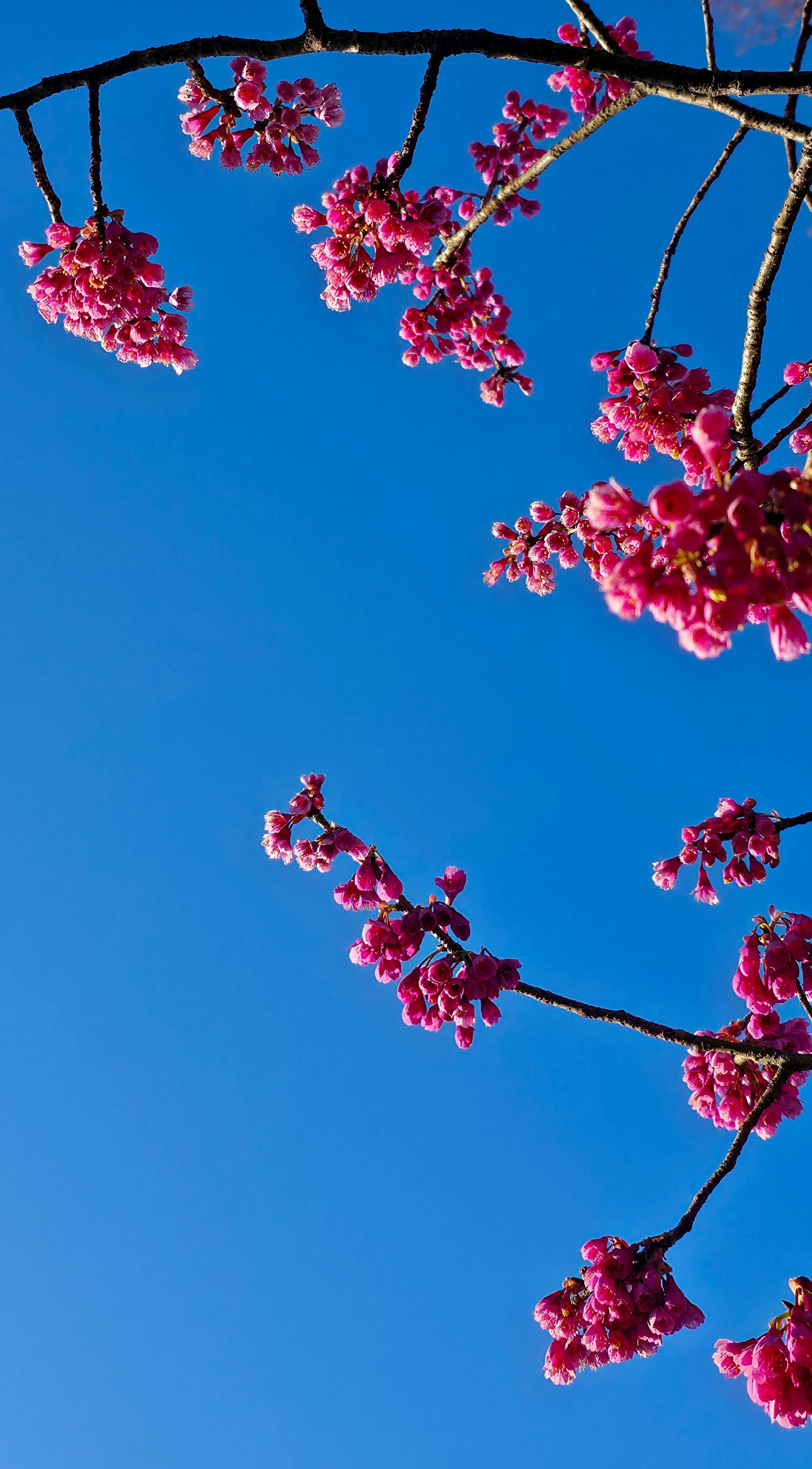 Photo by nachoestevo