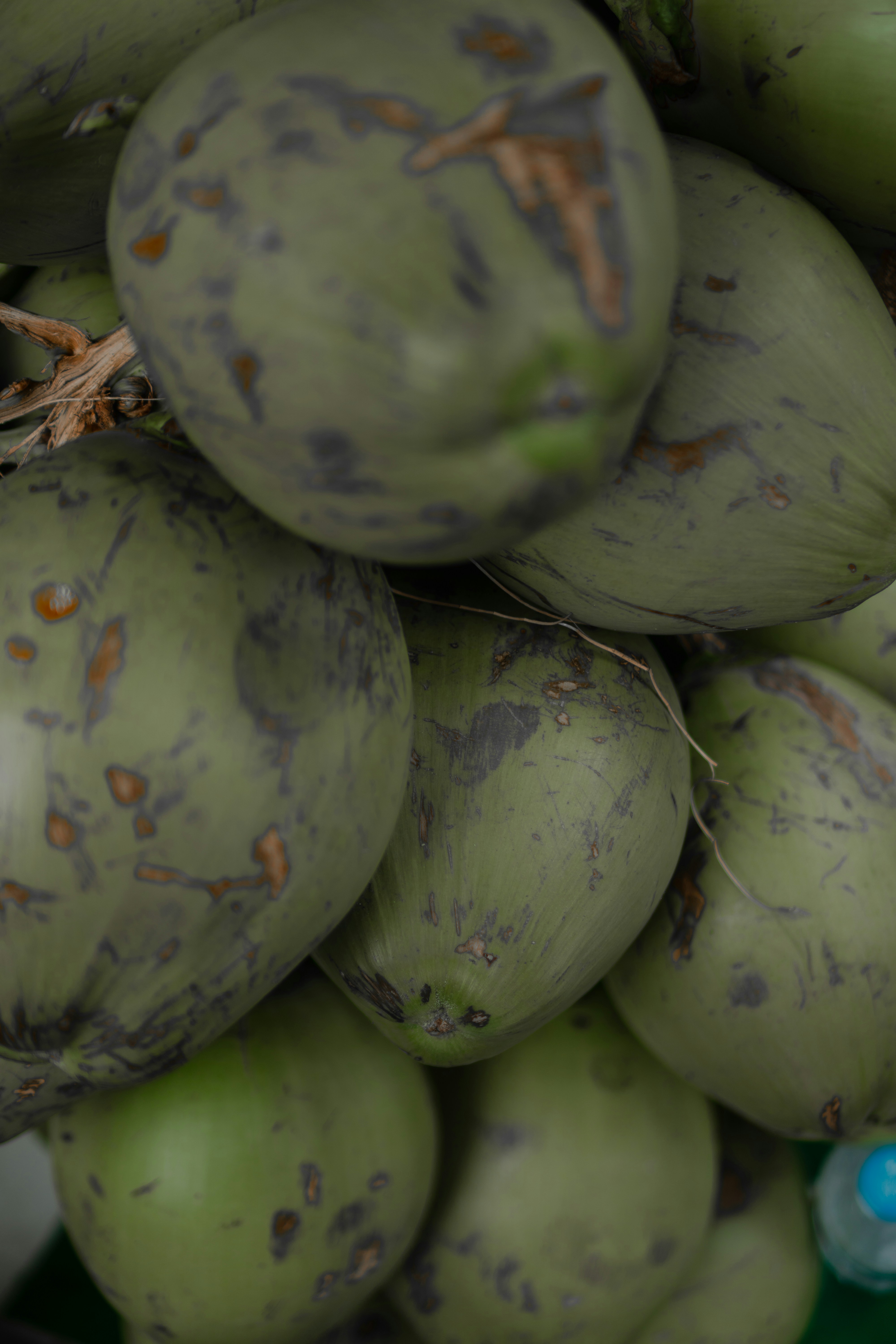 tropical coconut drink, wallpaper, Minum Air Kelapa Setelah Minum Obat: Aman atau Tidak? 5