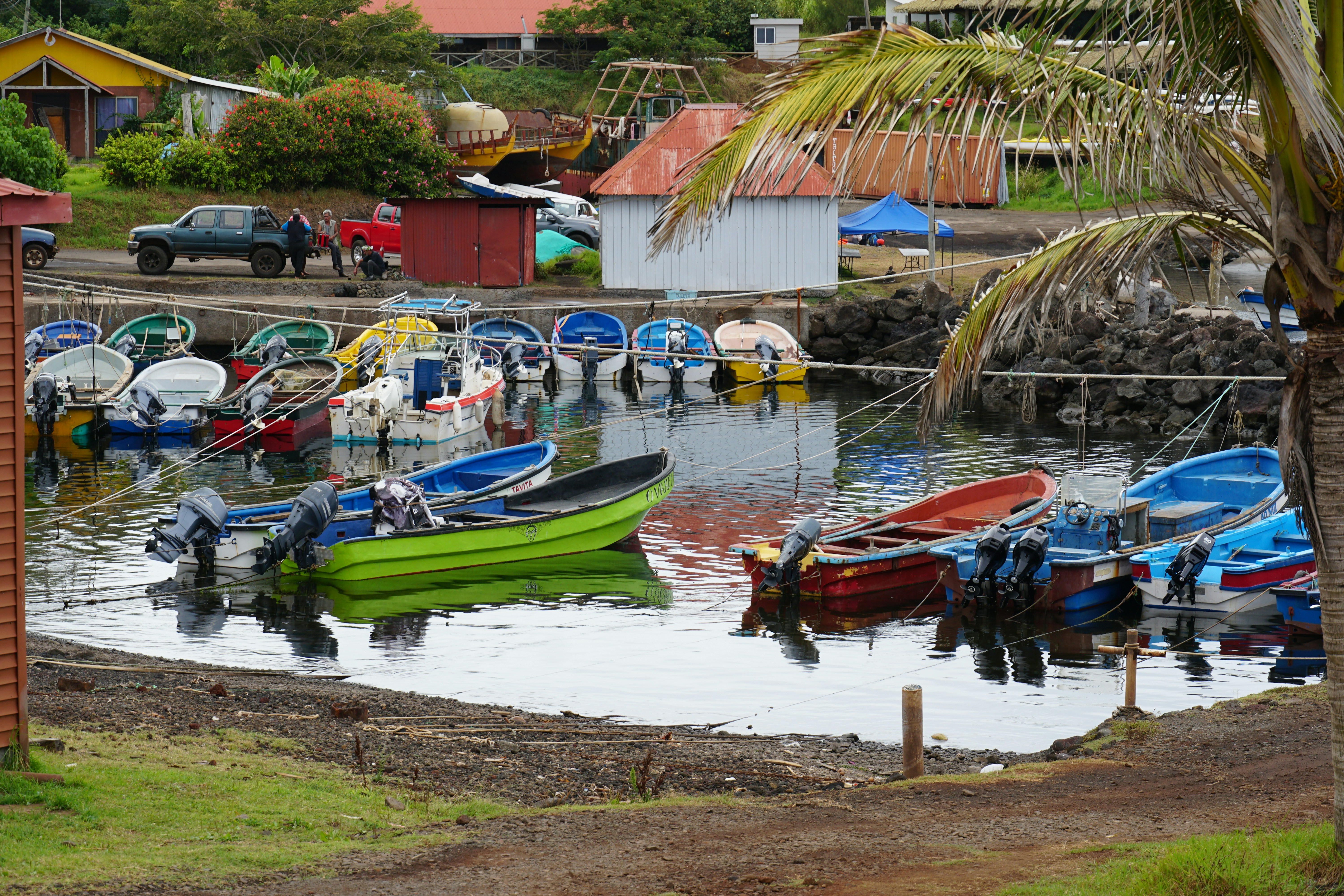 Colorful boats docked in a small harbor with buildings.