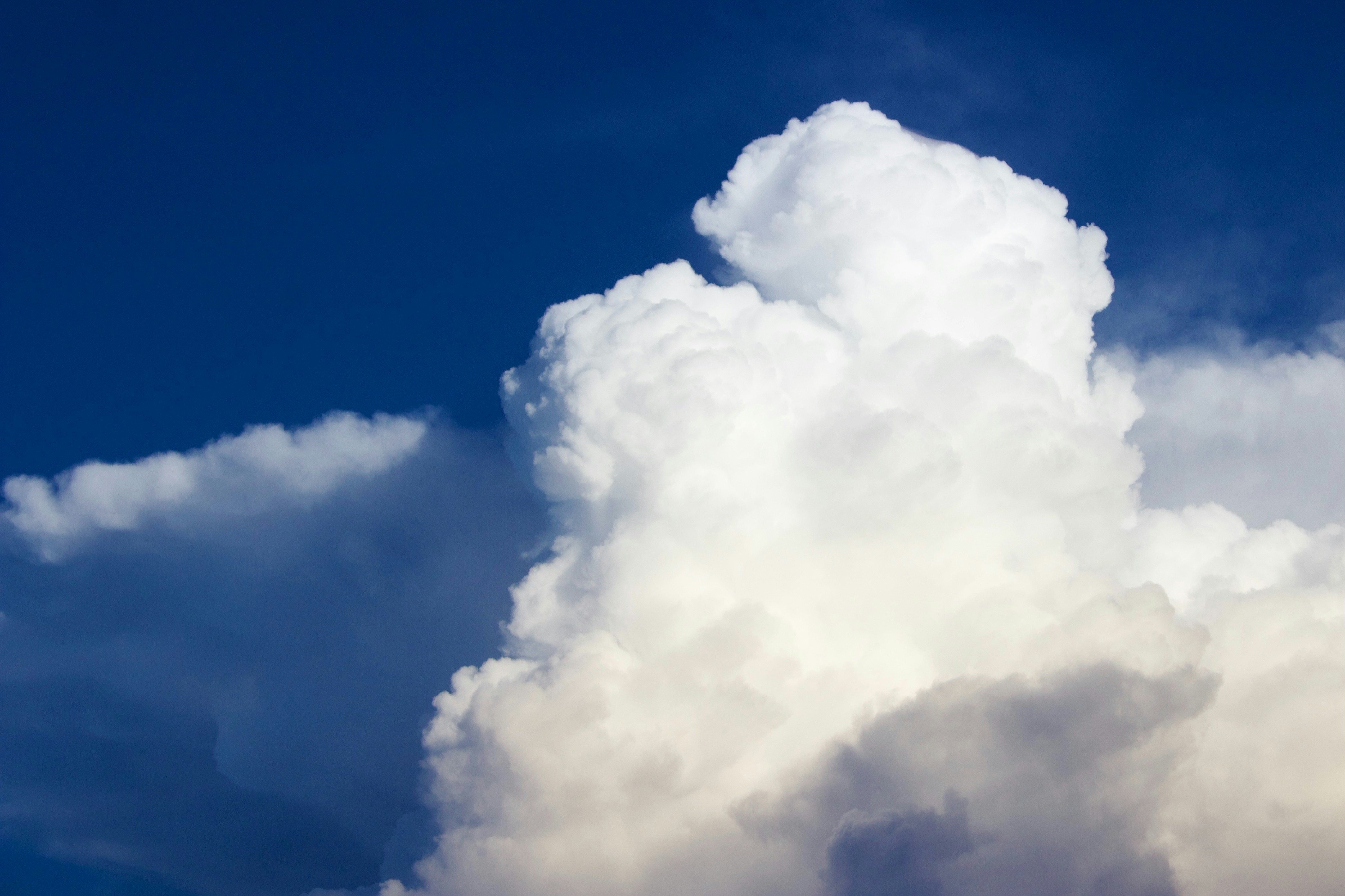 Photo by shaturniano_photography