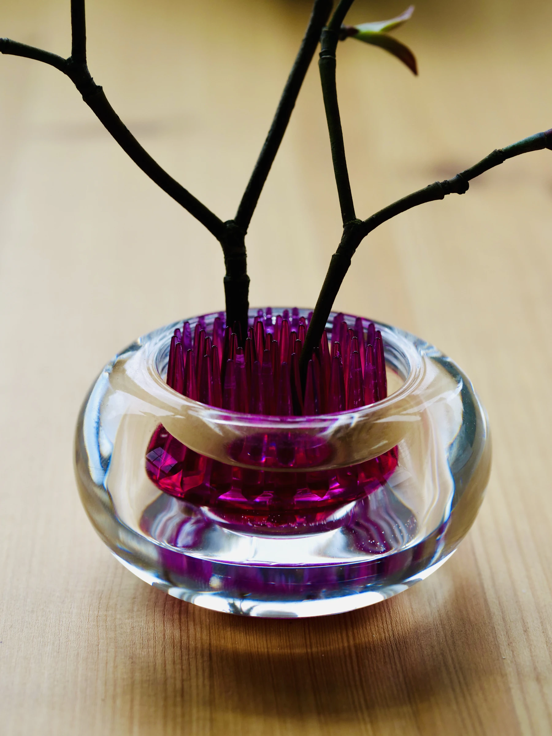 Dark branches standing on the spikes of a pin holder inside a small glass dish