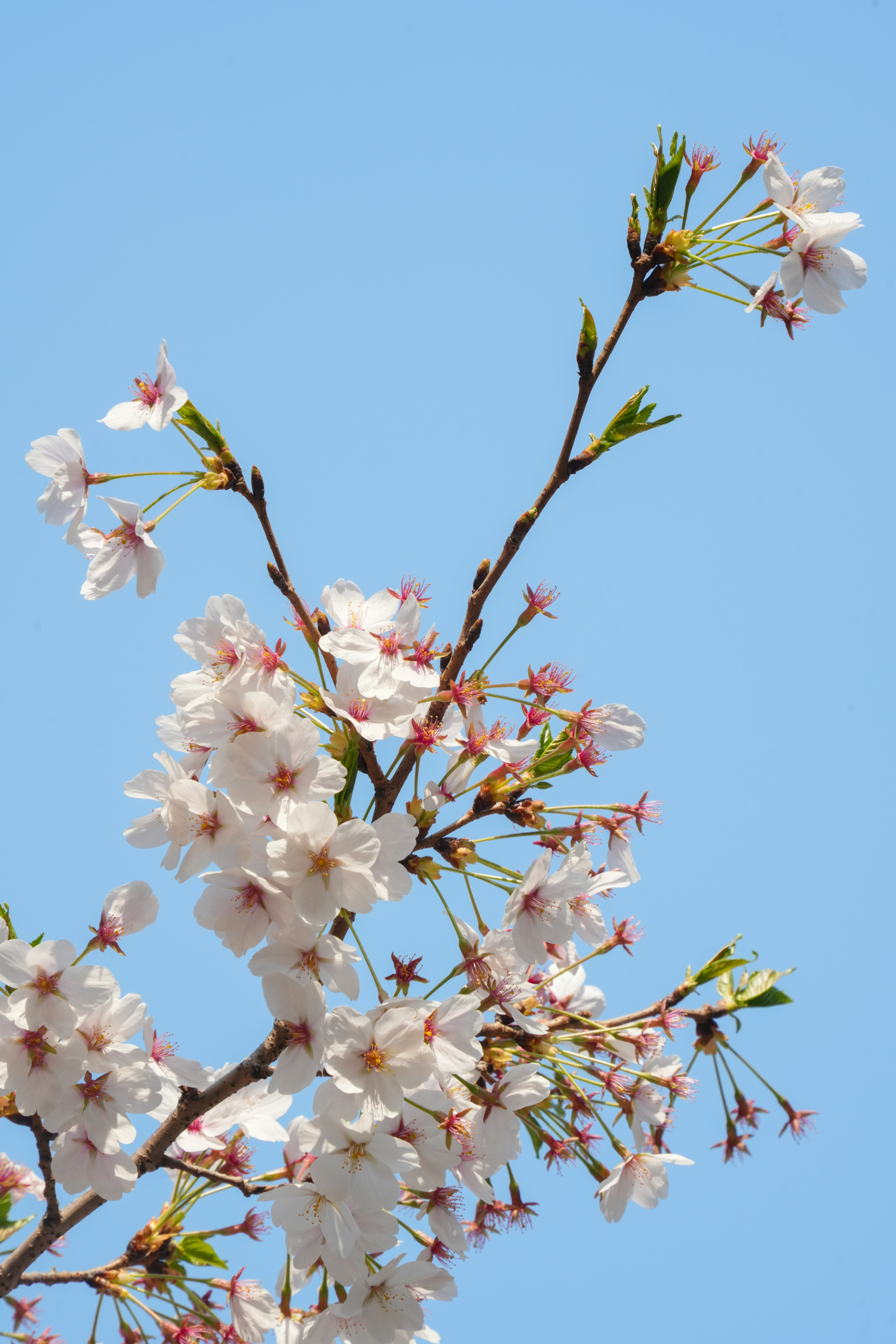 Photo by hattrick1996