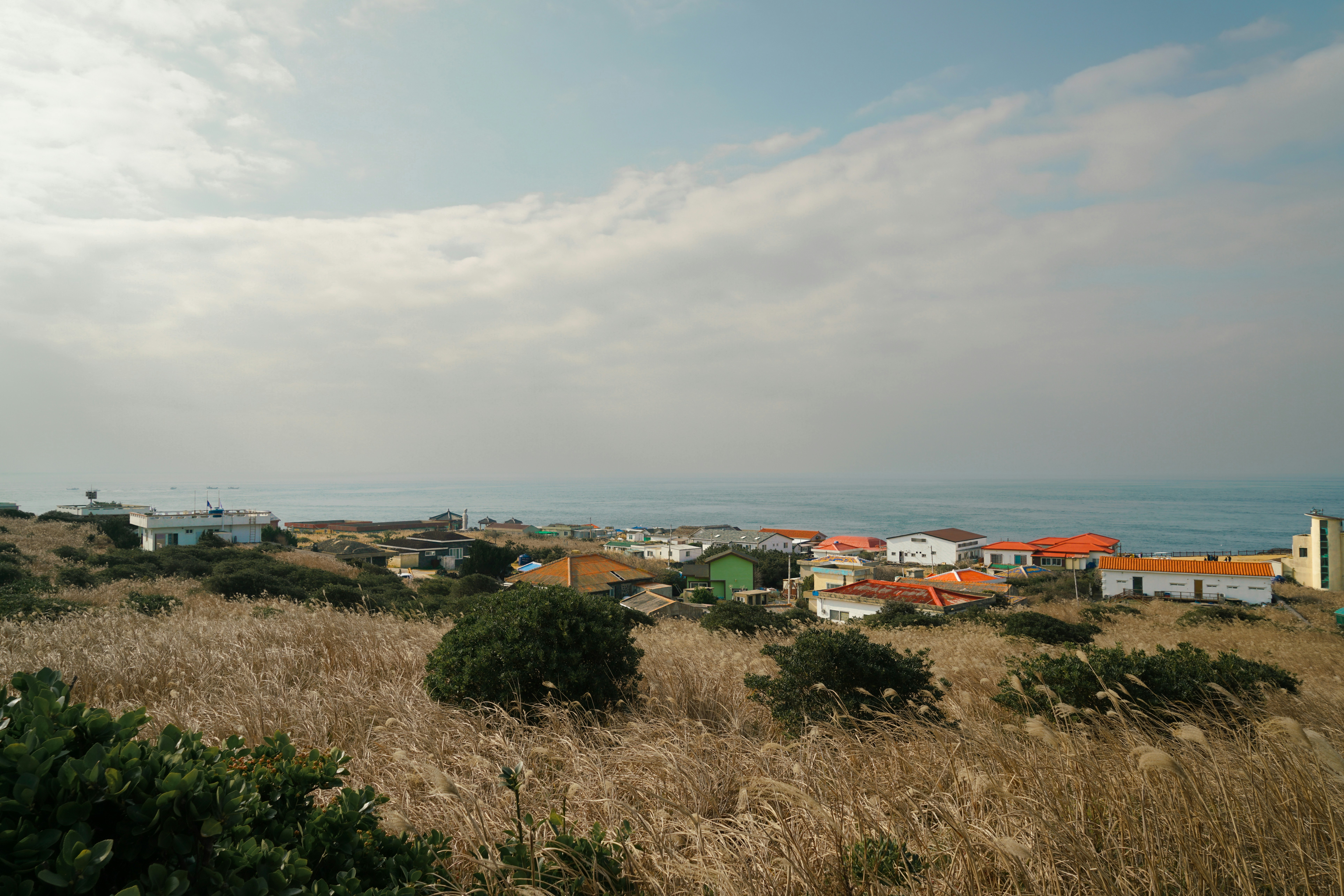 Photo by hongkyu