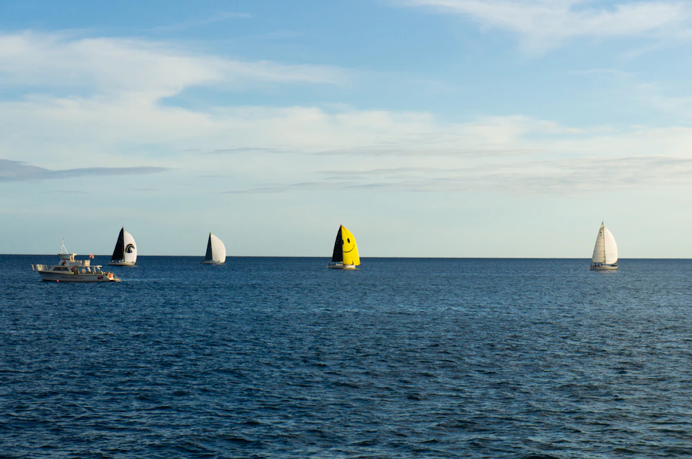 Sailboats racing across clear blue ocean horizon during offshore race