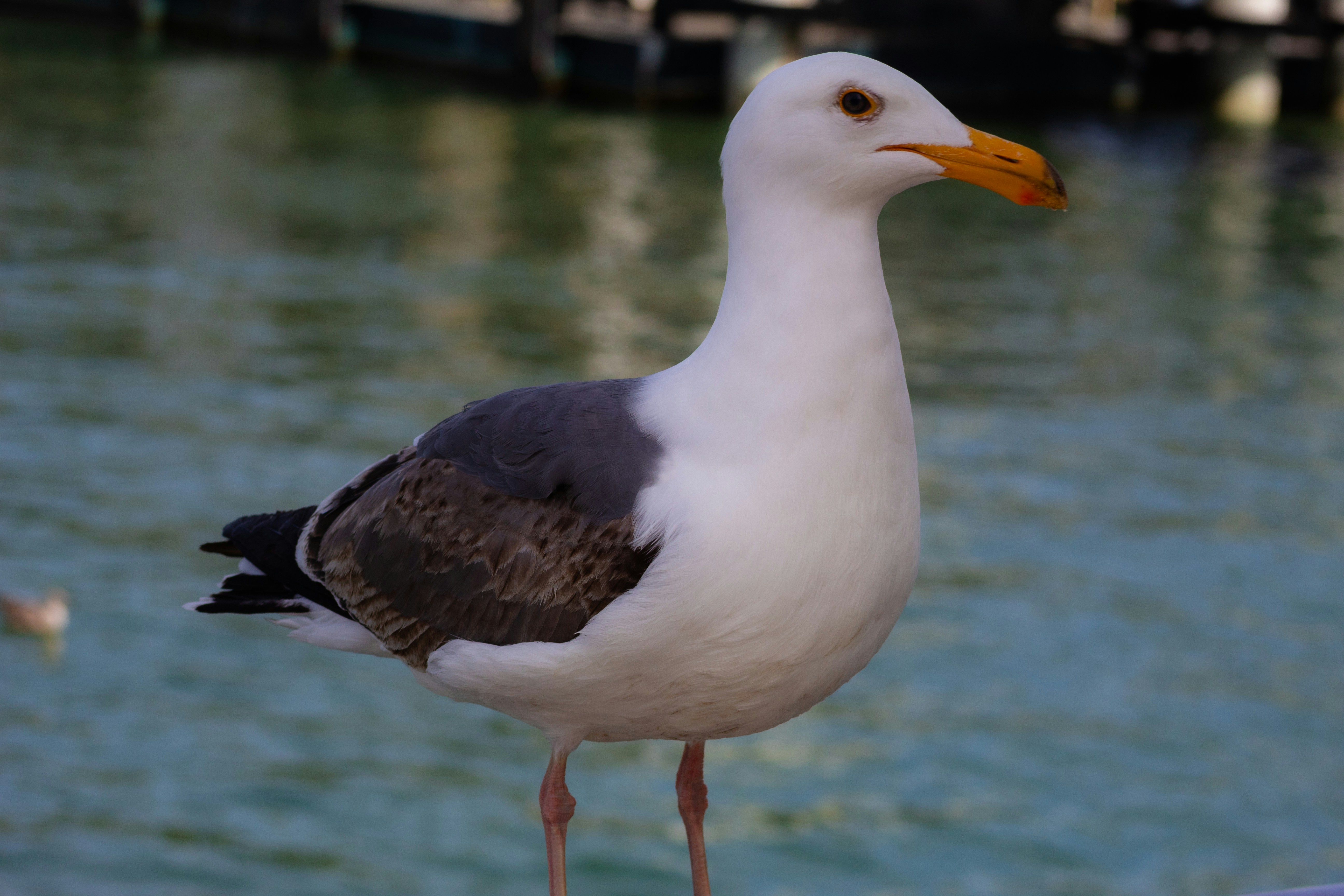 Photo by imthewiseguy