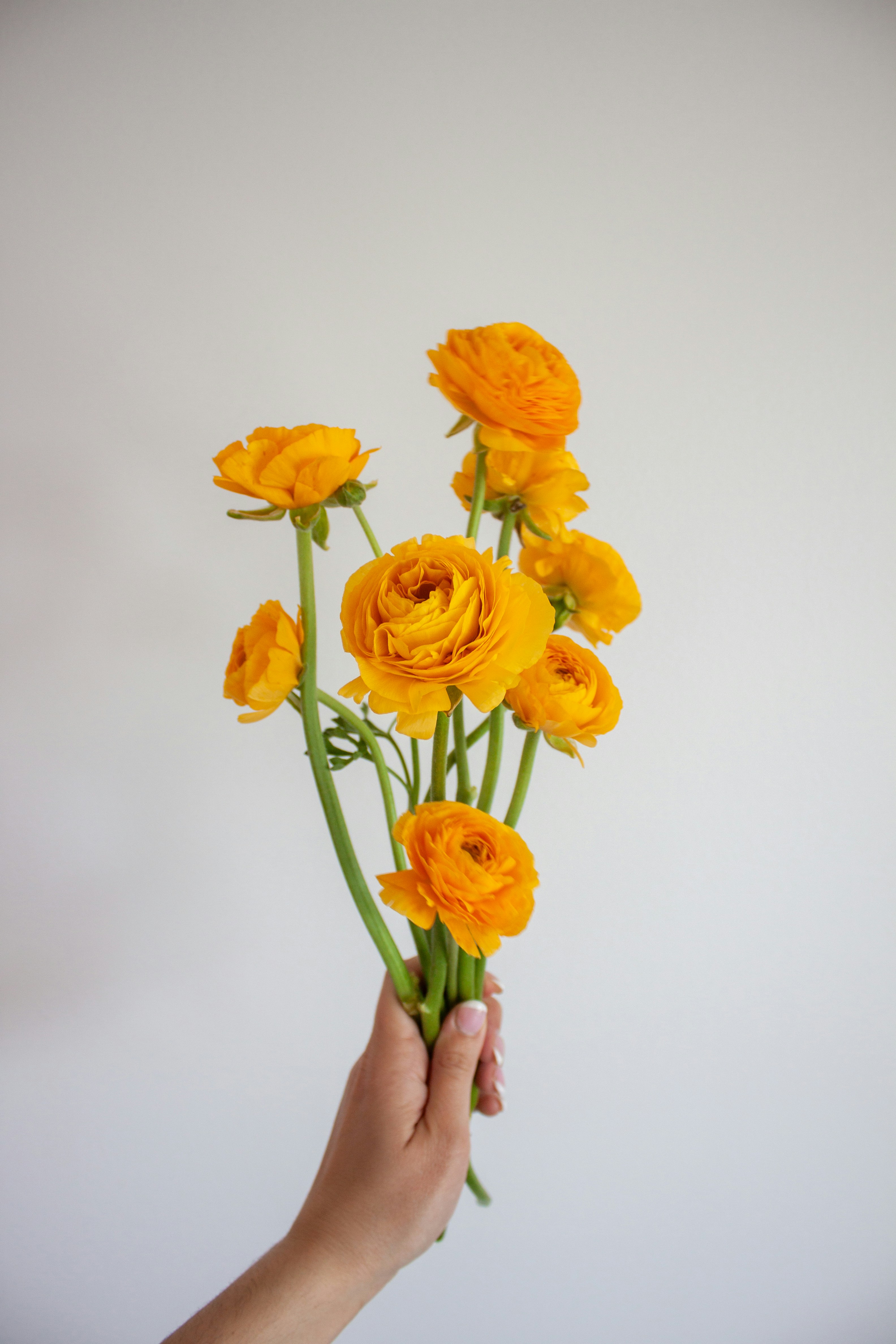 Photo by haileyellenw