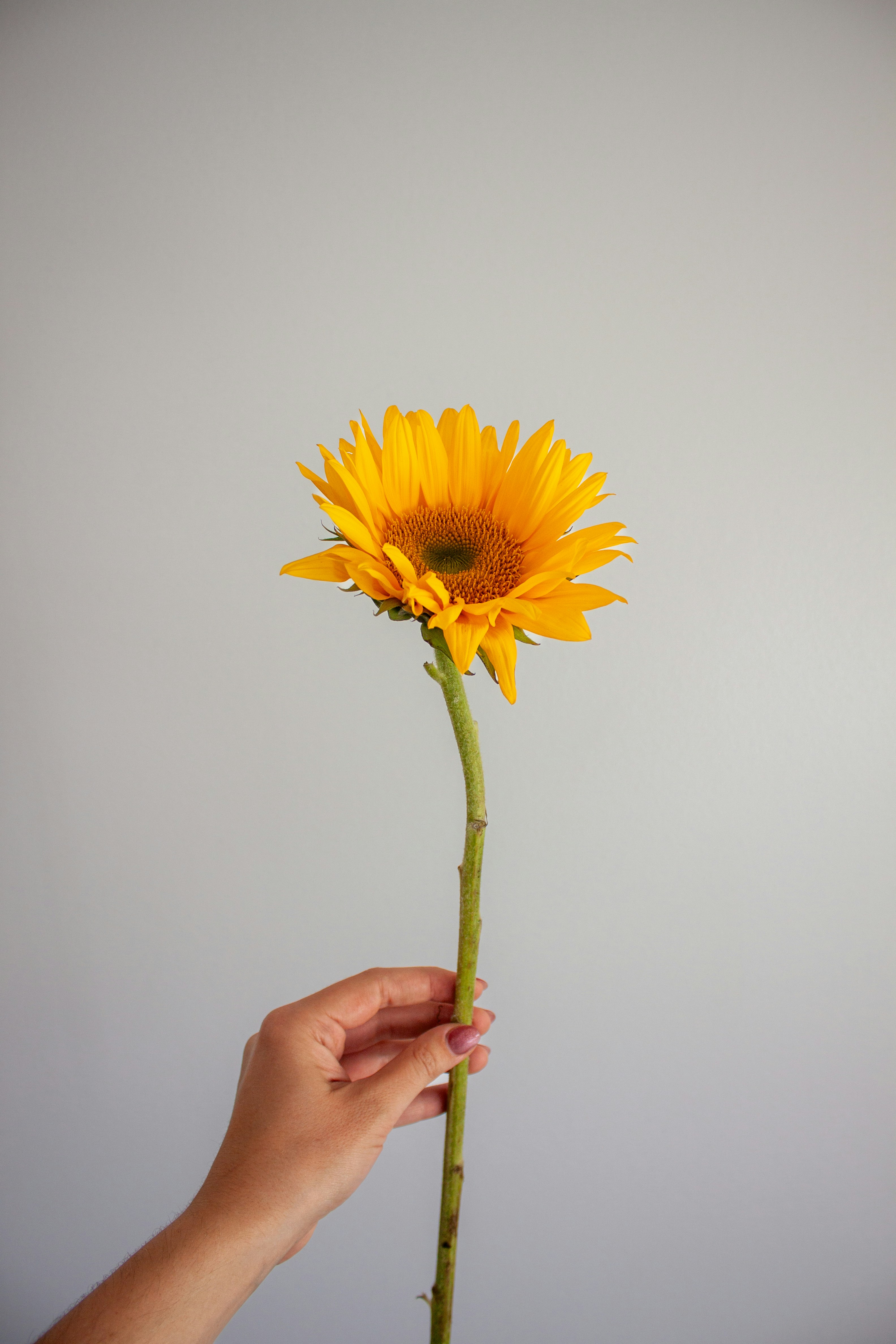 Photo by haileyellenw