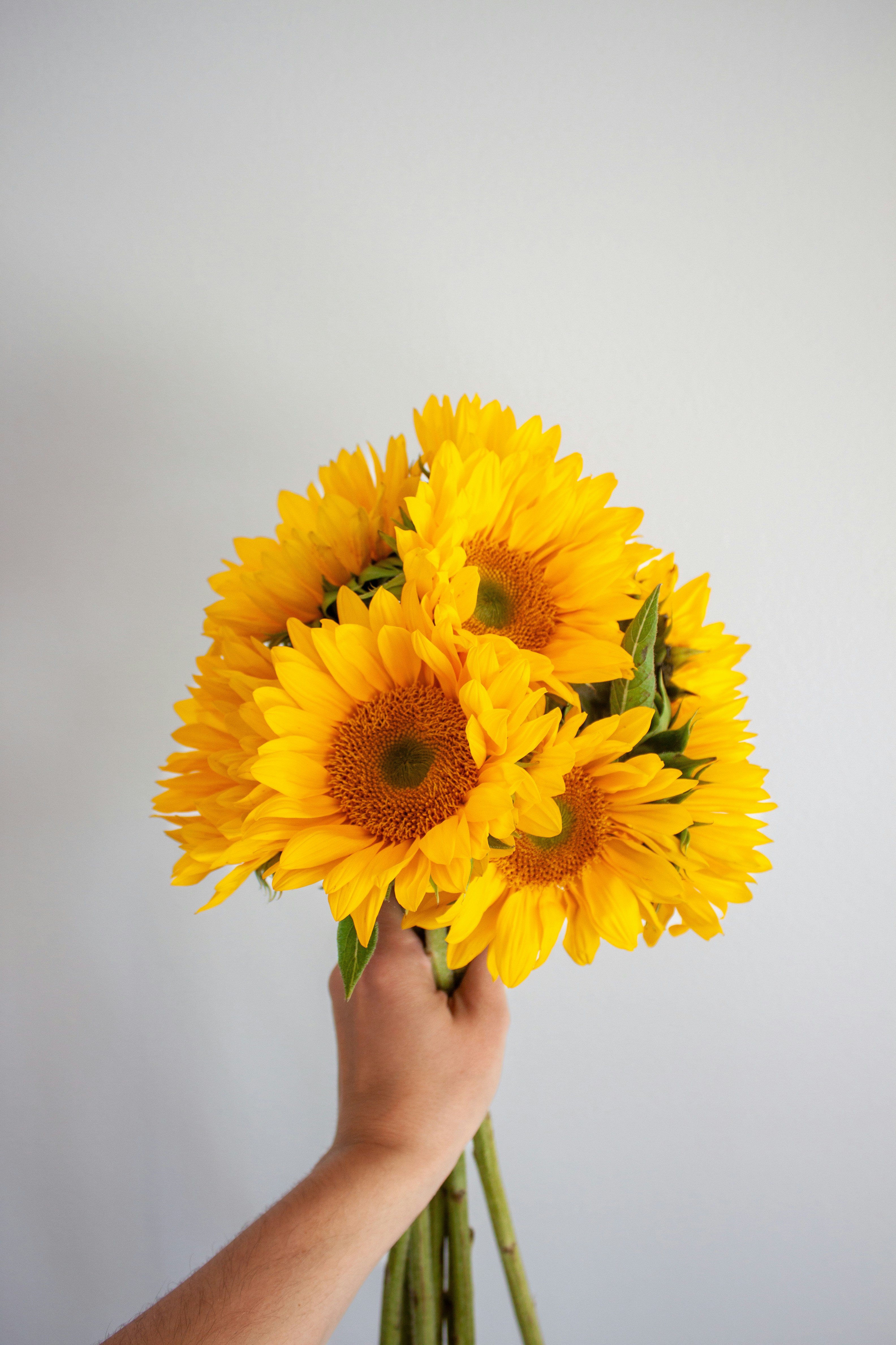 Photo by haileyellenw