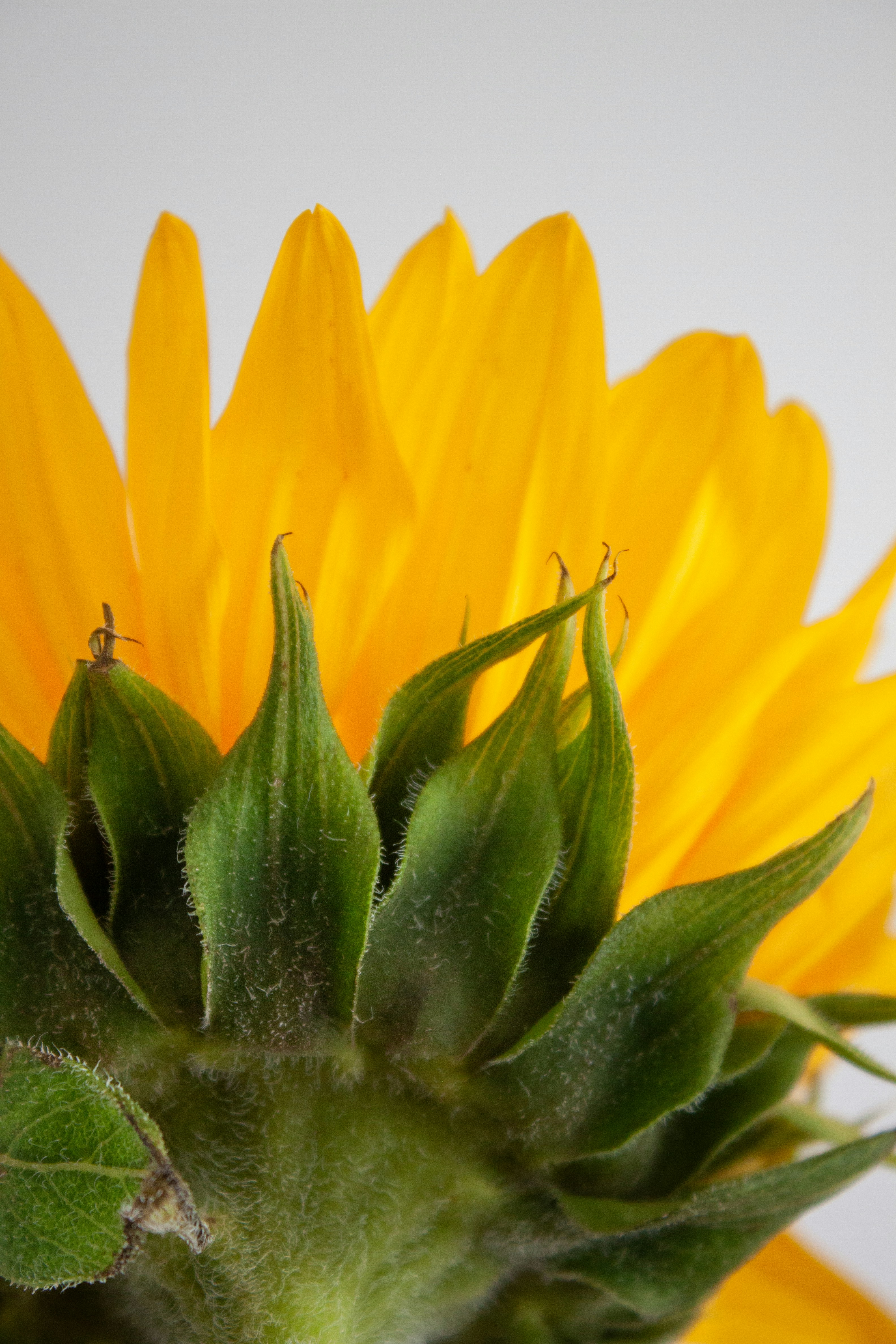 Photo by haileyellenw