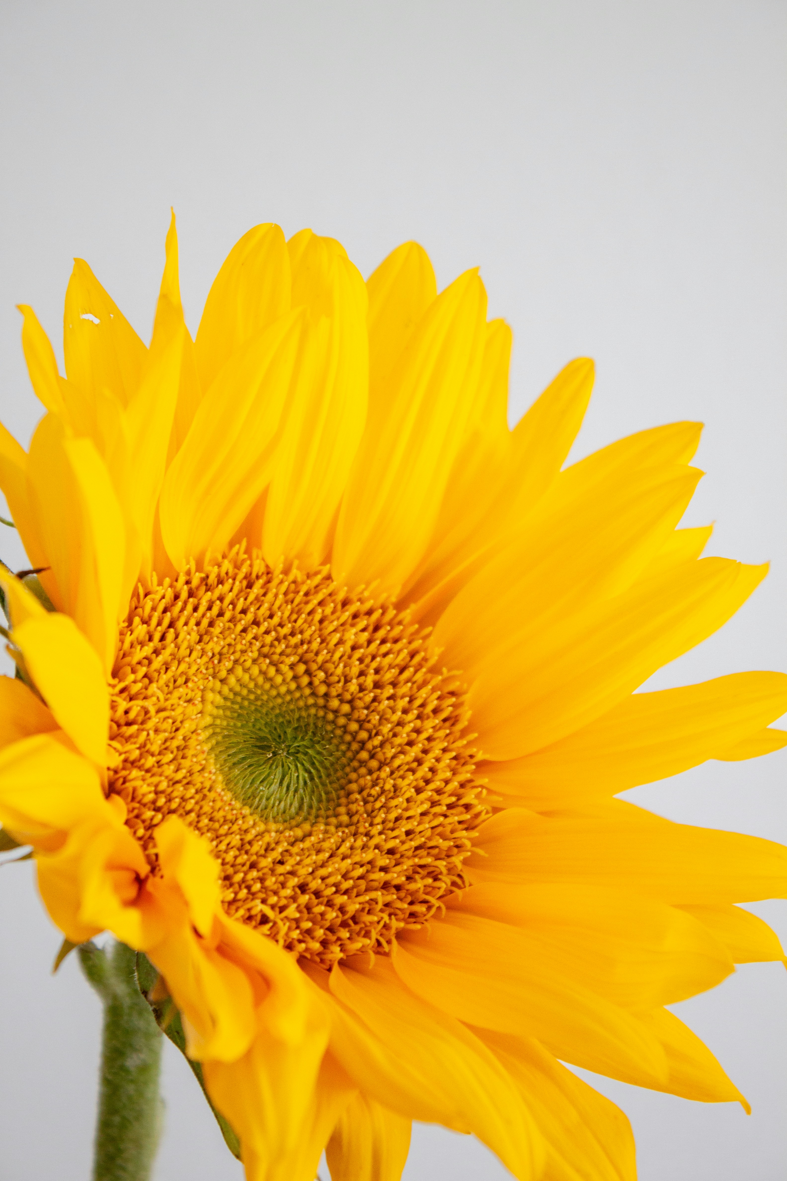 Photo by haileyellenw