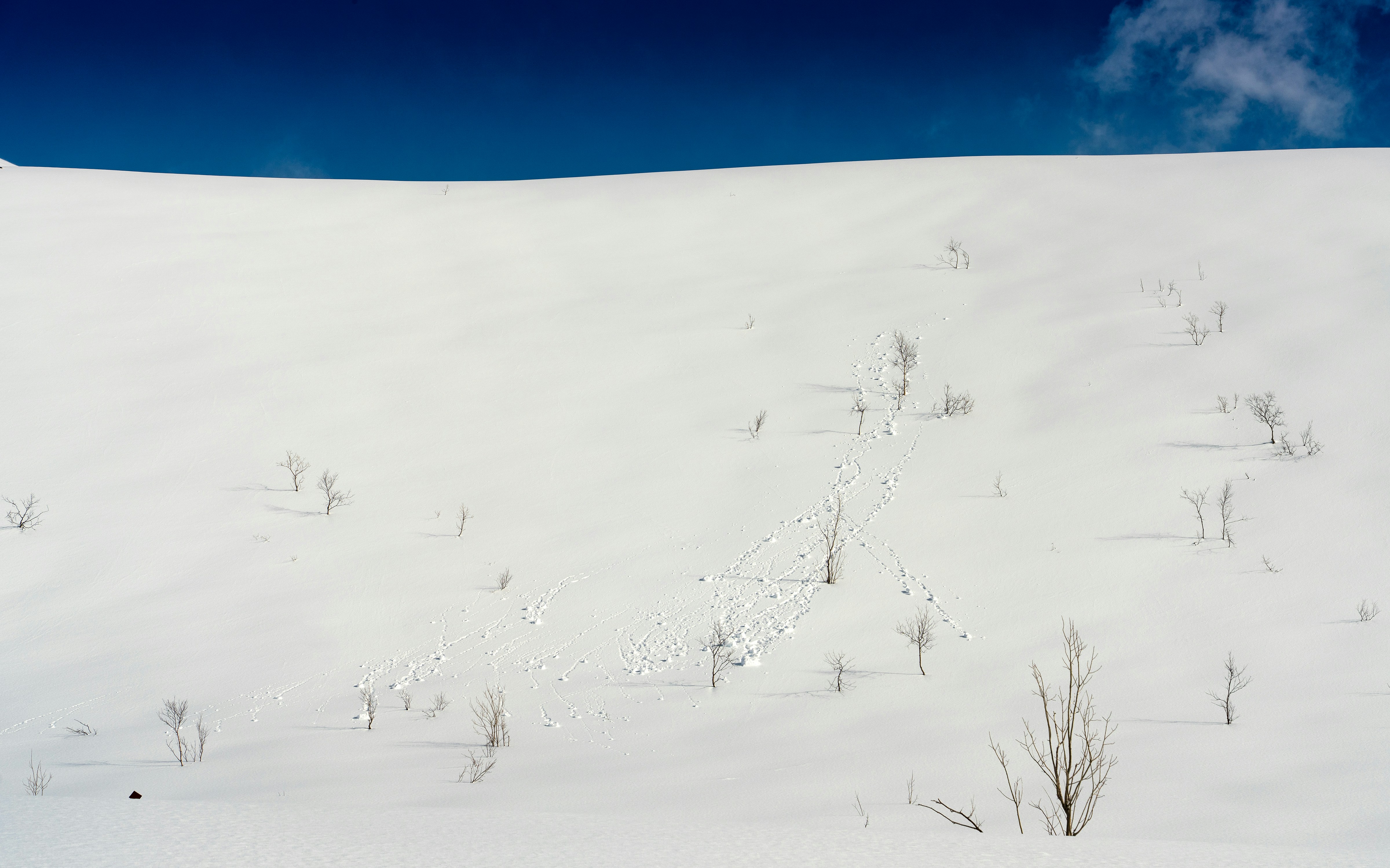 Snow covered hill with a bright blue sky