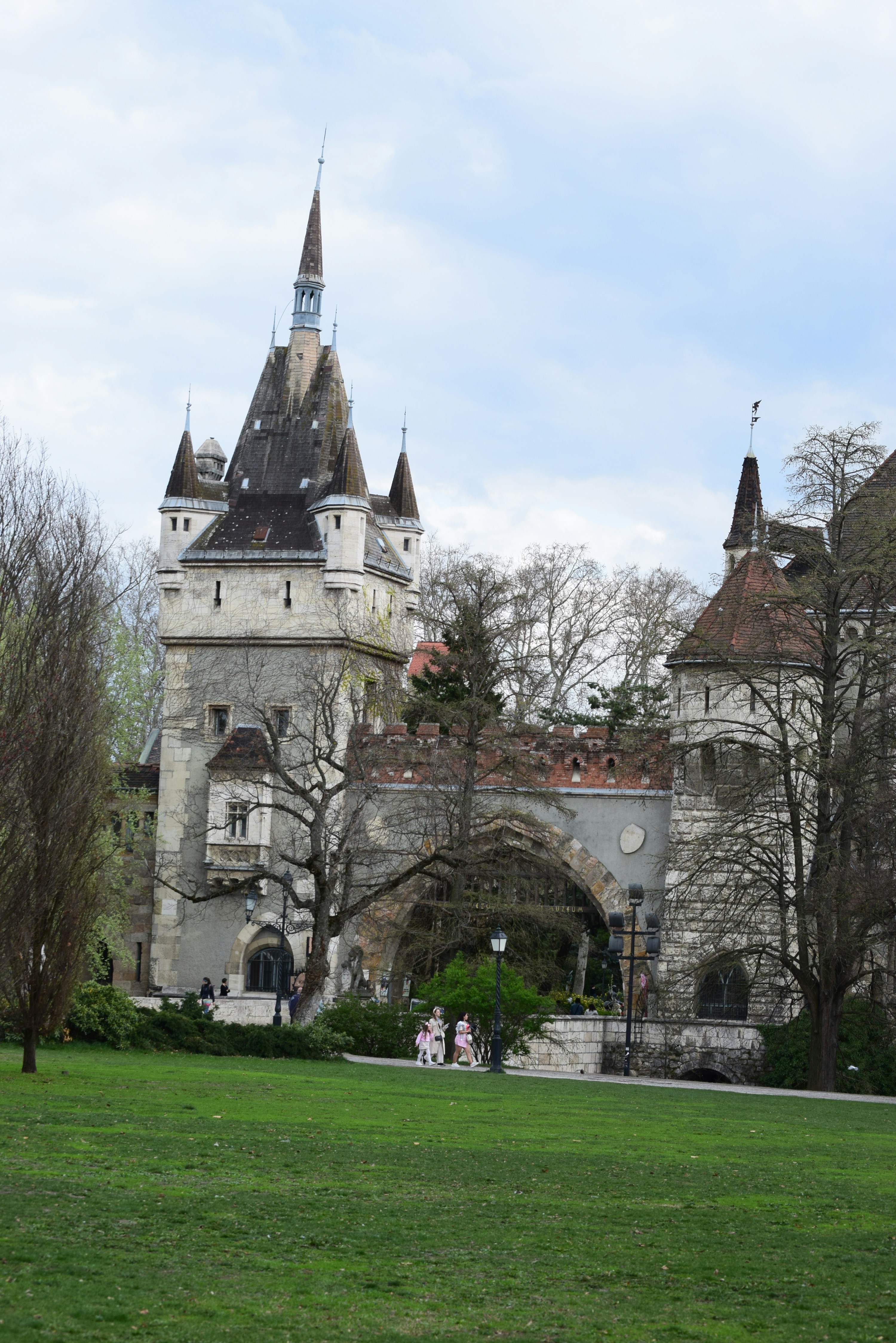 A grand castle with spires and trees