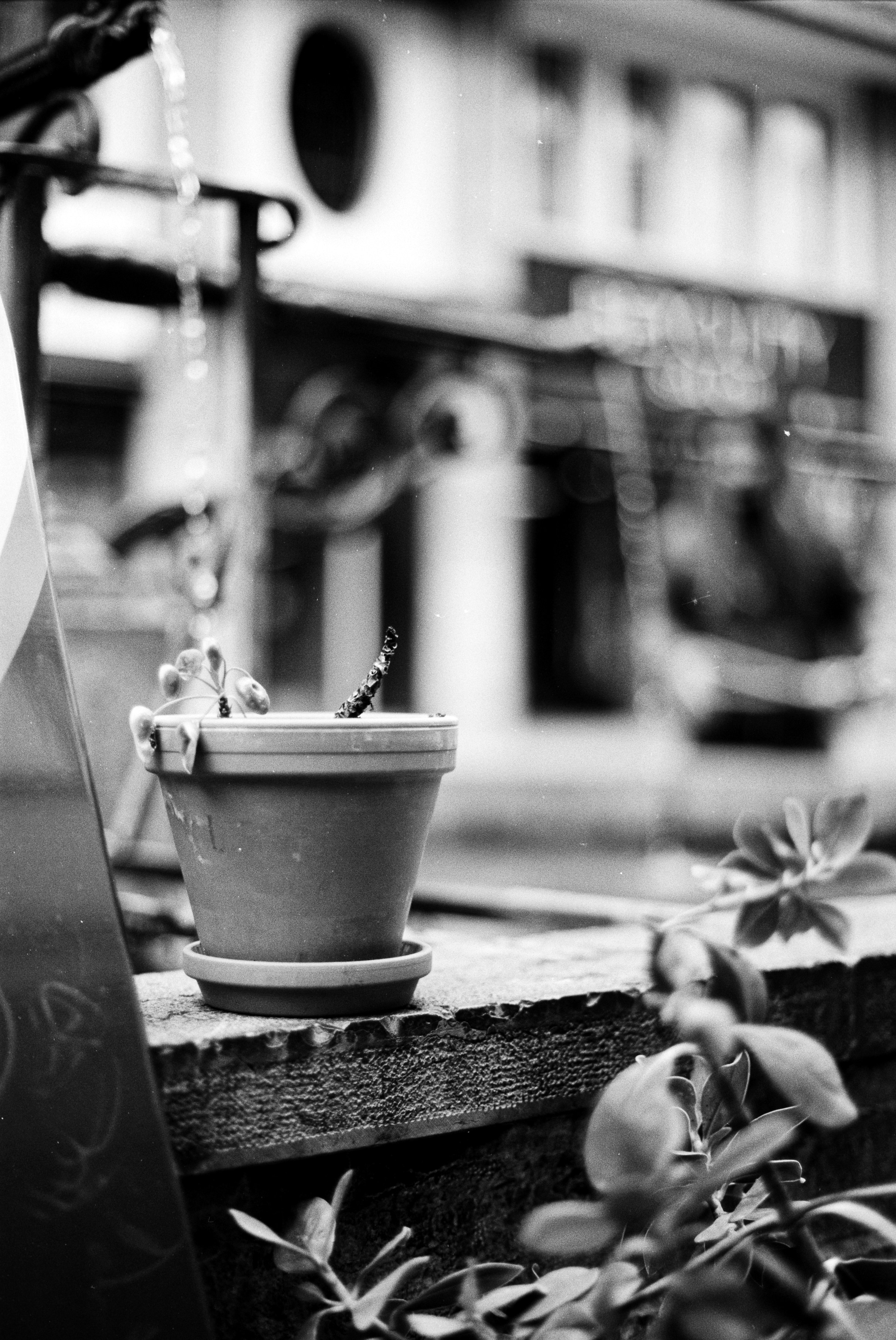 Photo by andrei_7654