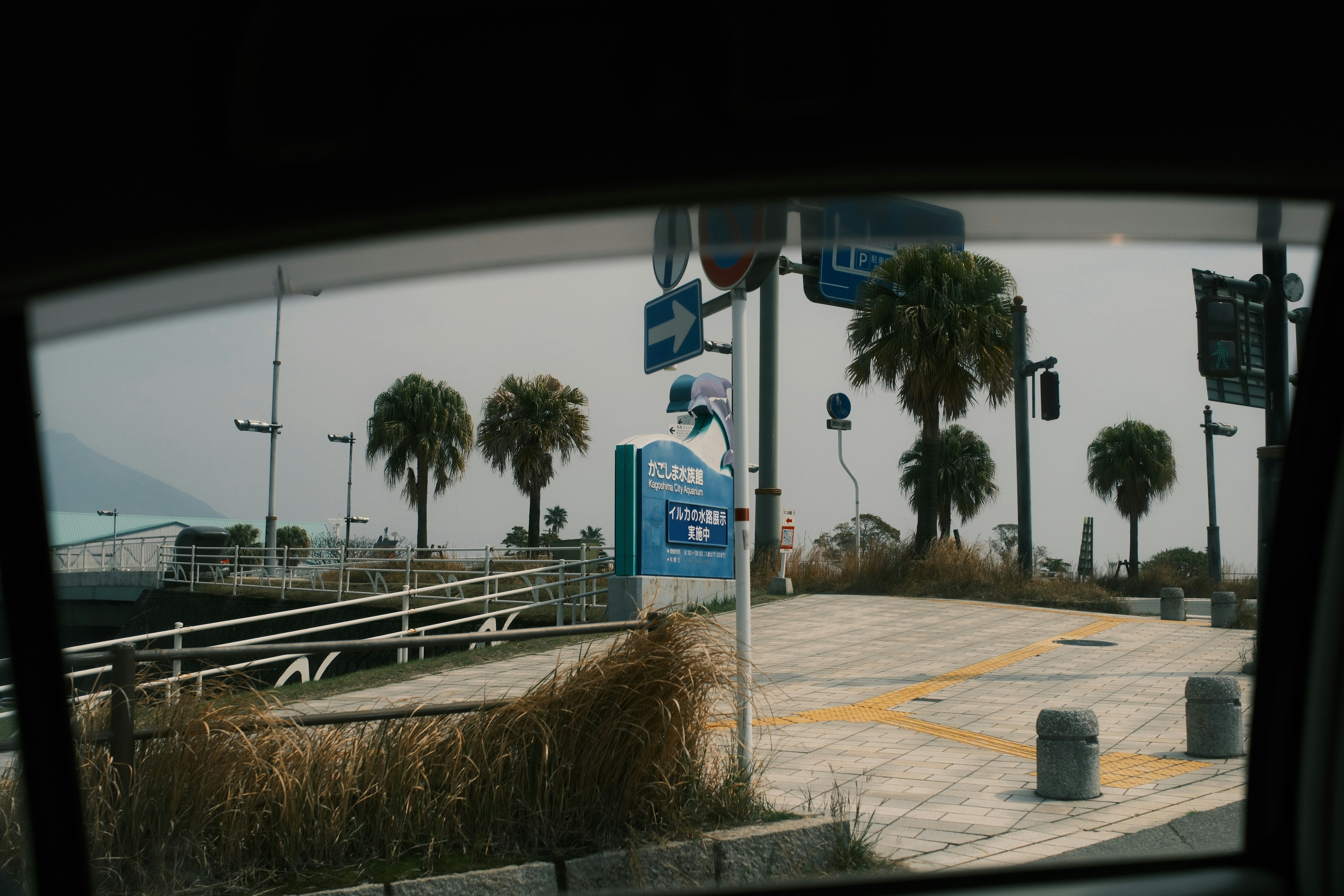 Palm trees line a coastal road with a ramp.