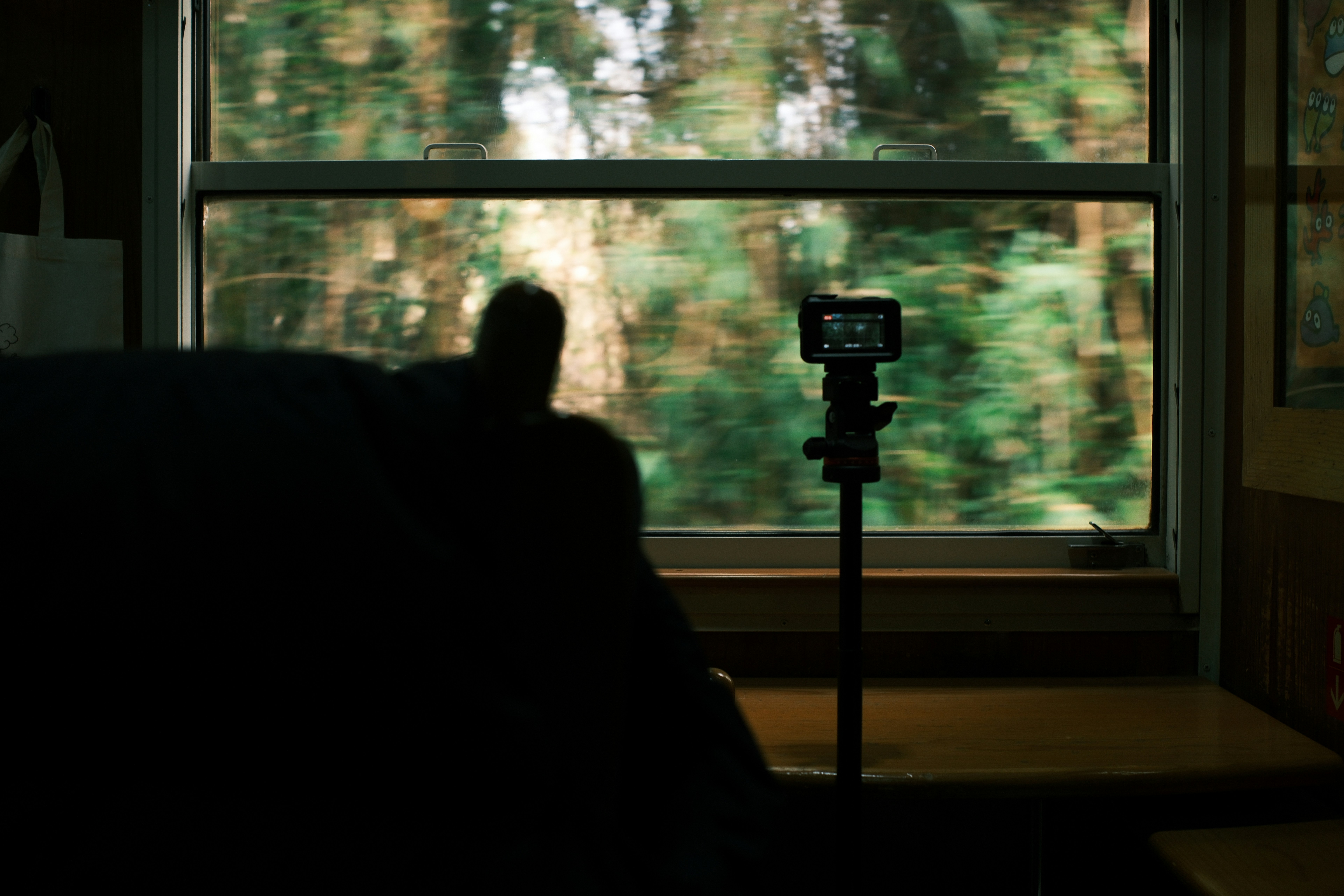Camera on tripod films passing trees from train window
