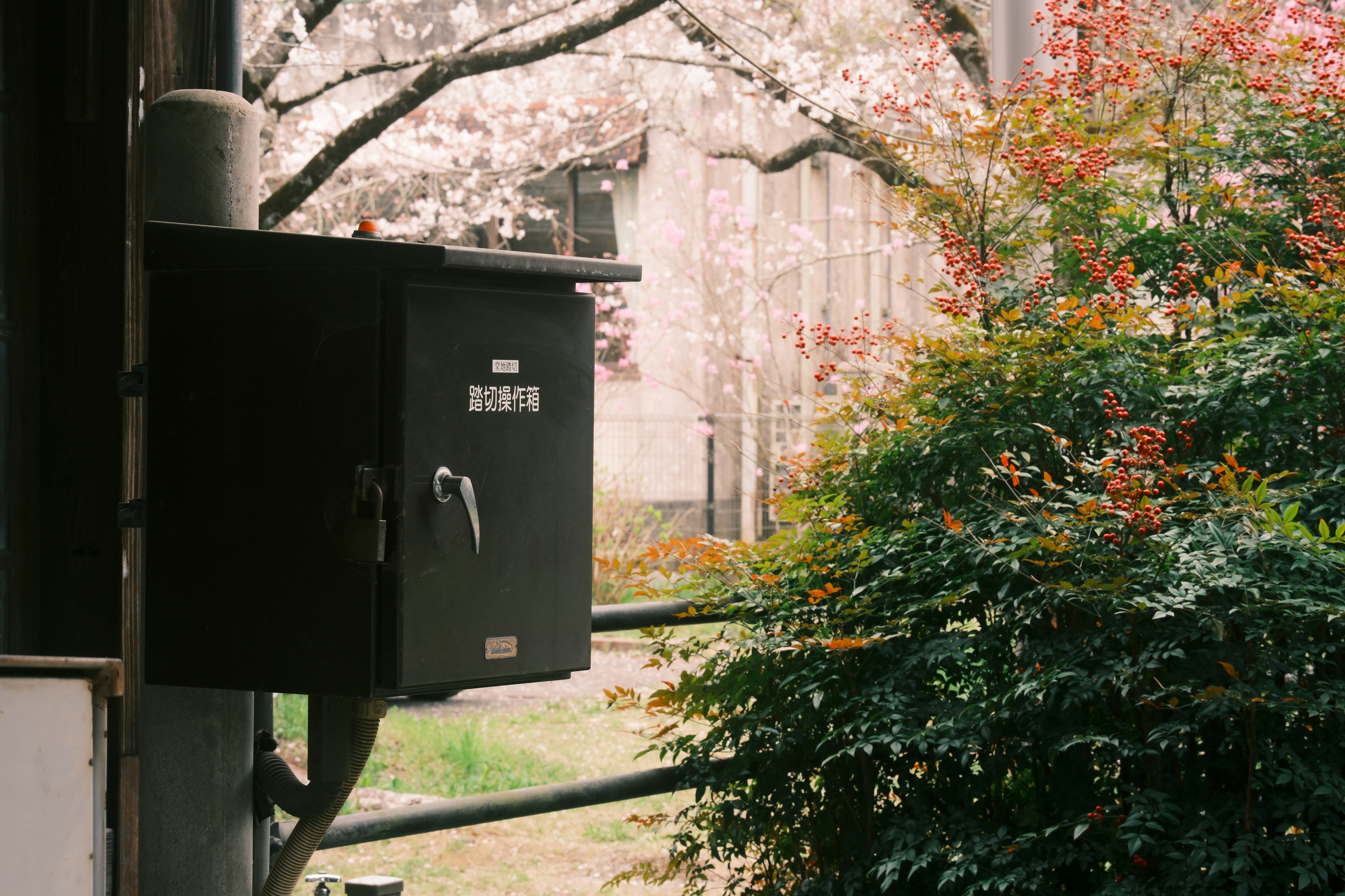 A dark metal box on a pole with foliage.