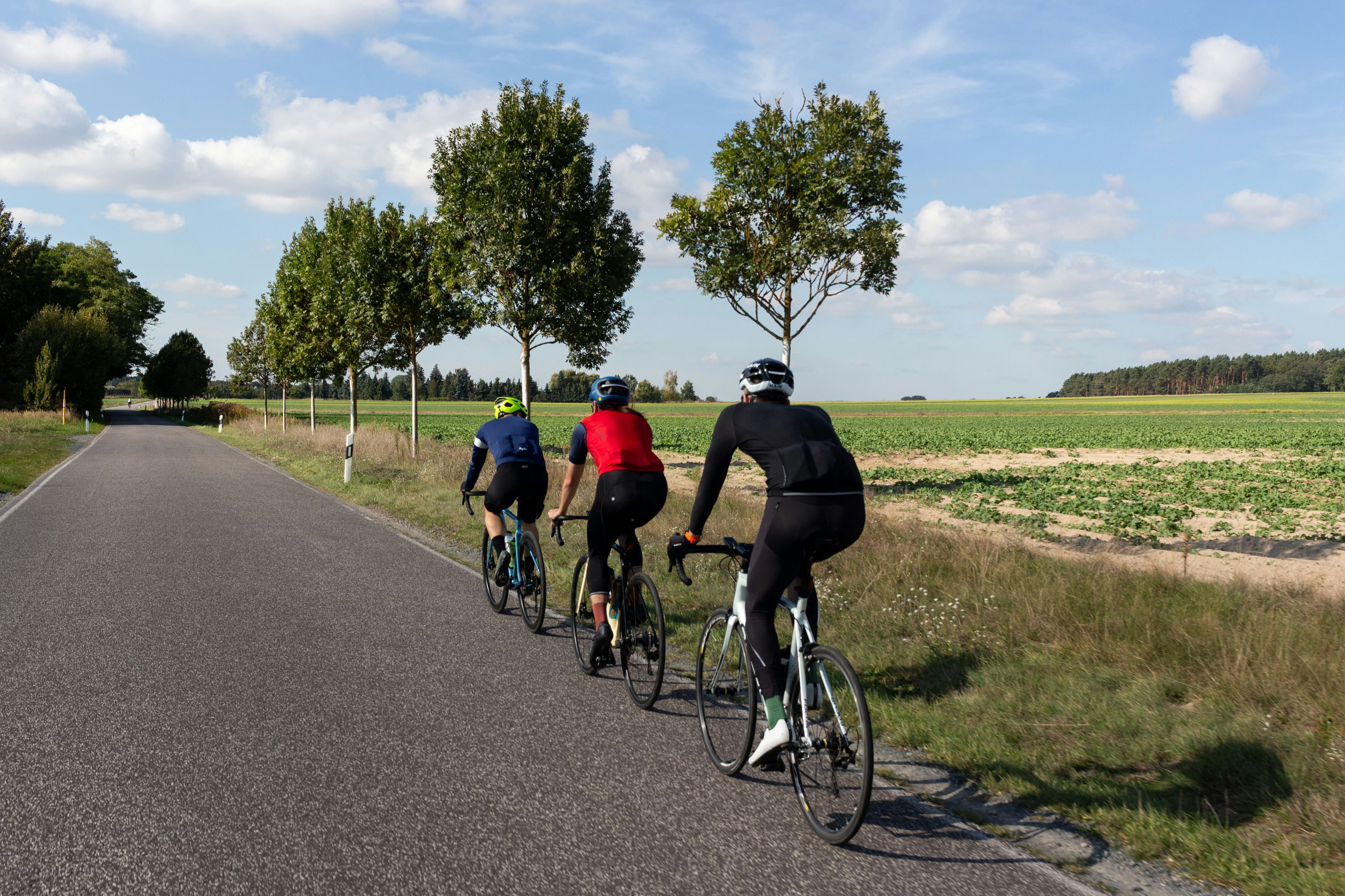 Three cyclists ride down a country road