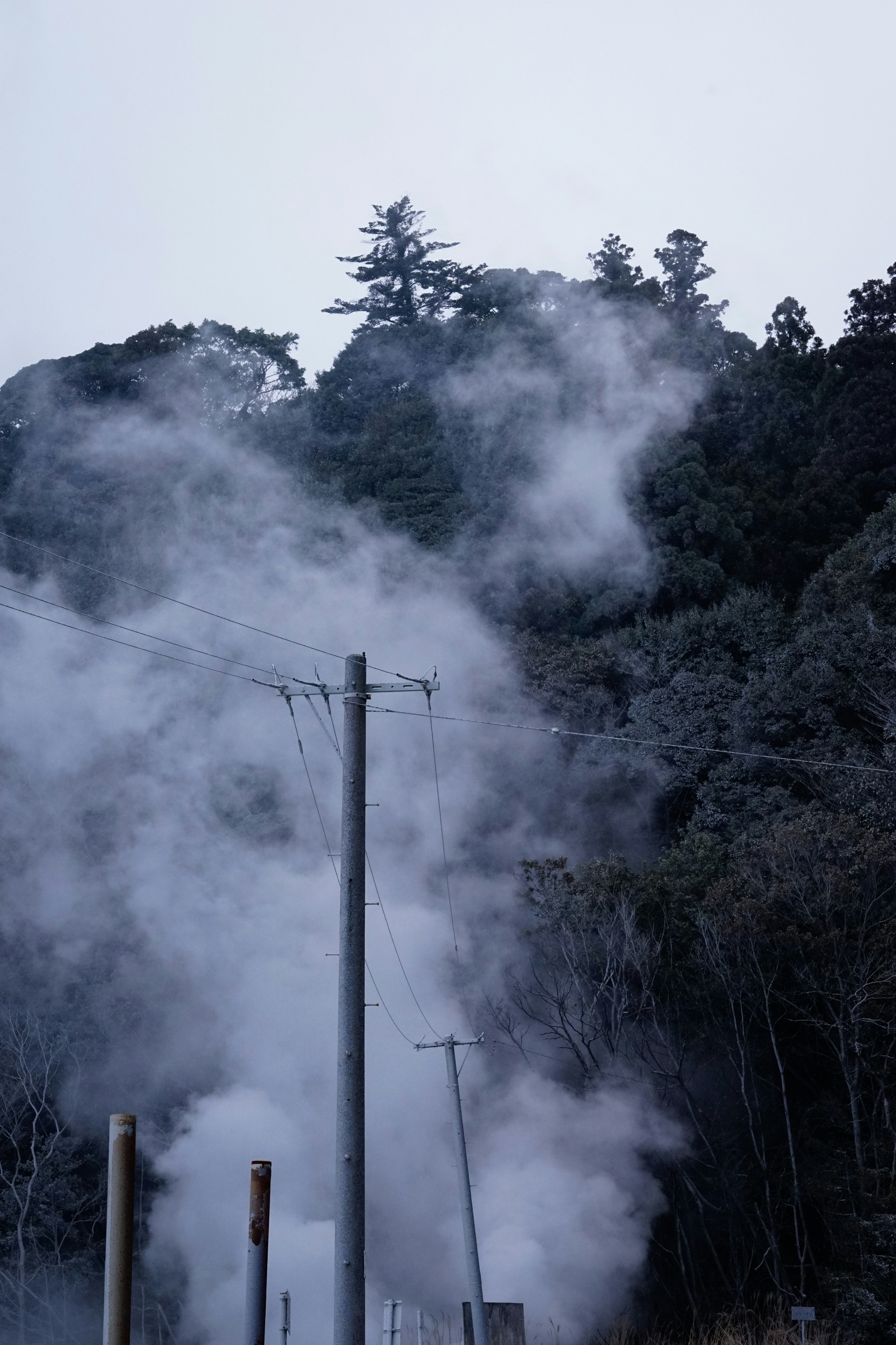 森からは蒸気が立ち上り、送電線が張られています。