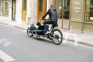 Person riding a cargo bike with a dog in front