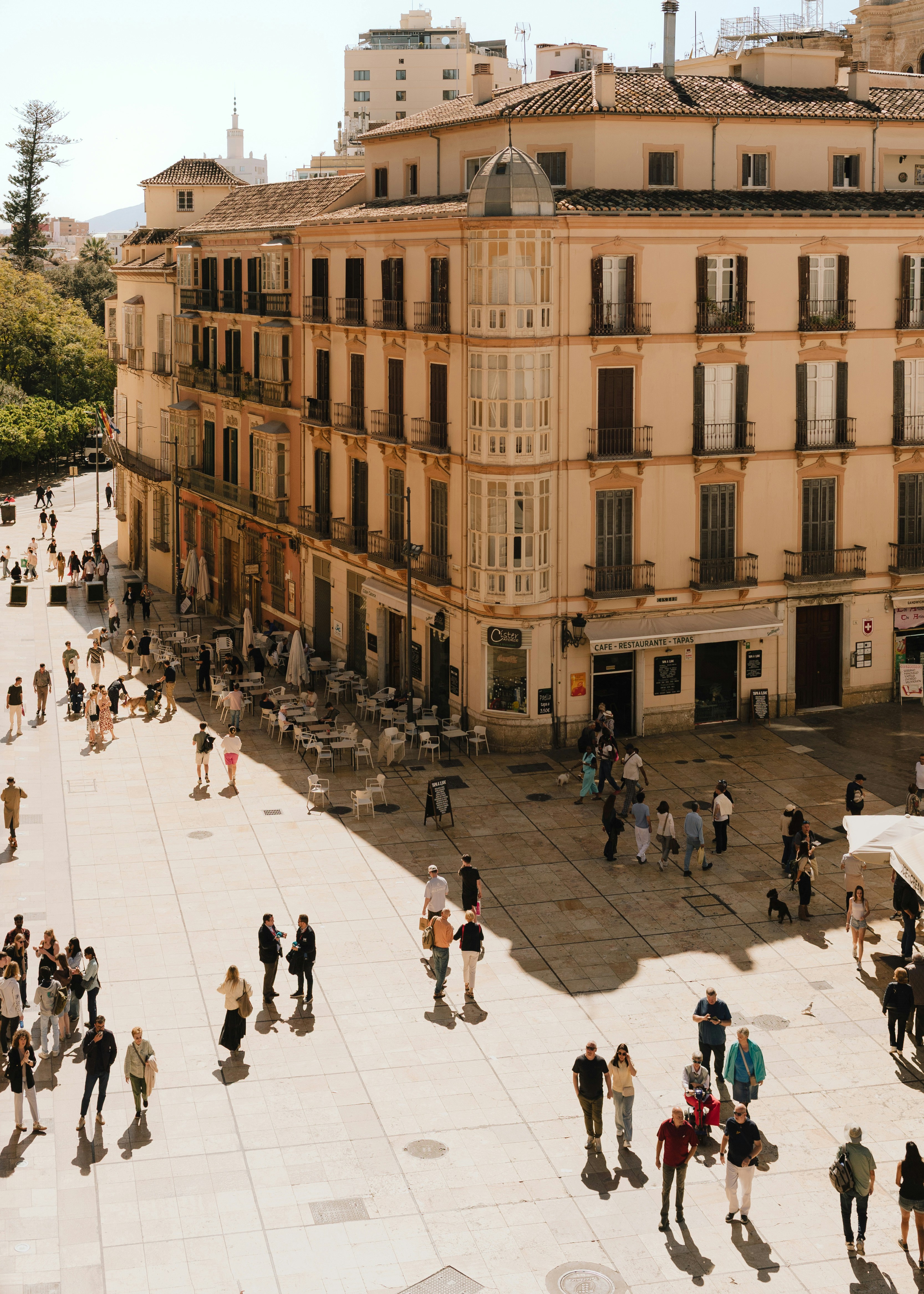 Vegetarian and Vegan Options