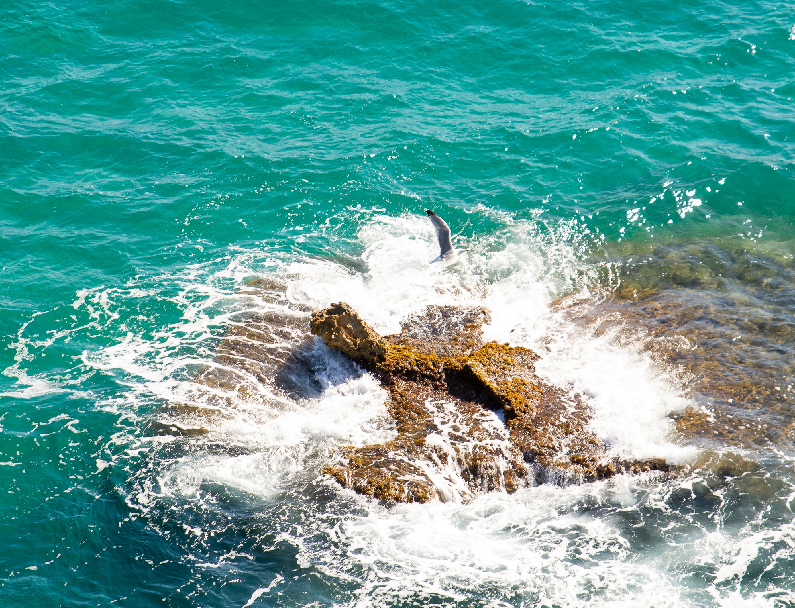 Photo by mxnuel_2309