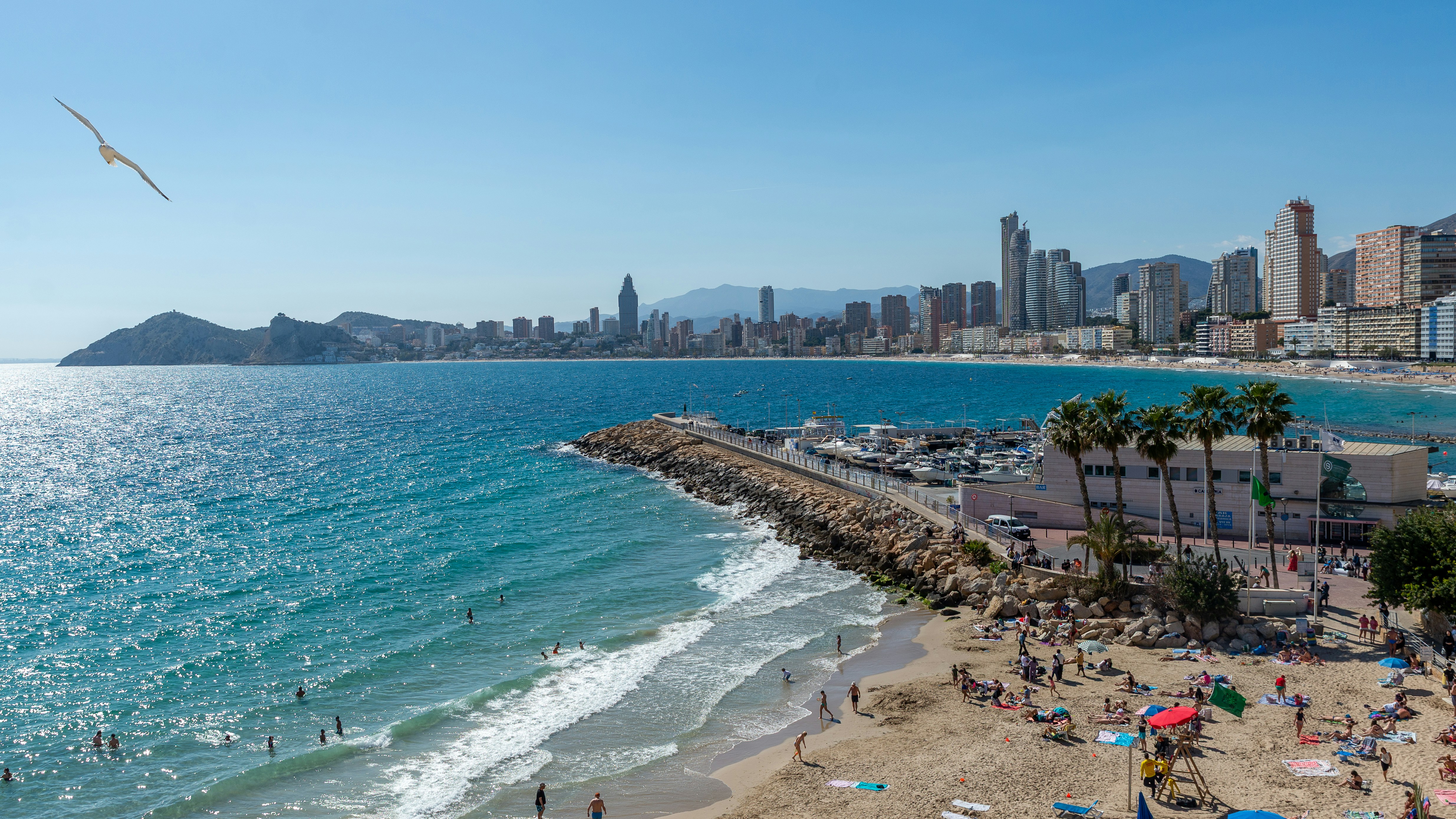 A sunny beach with a city skyline in the background.