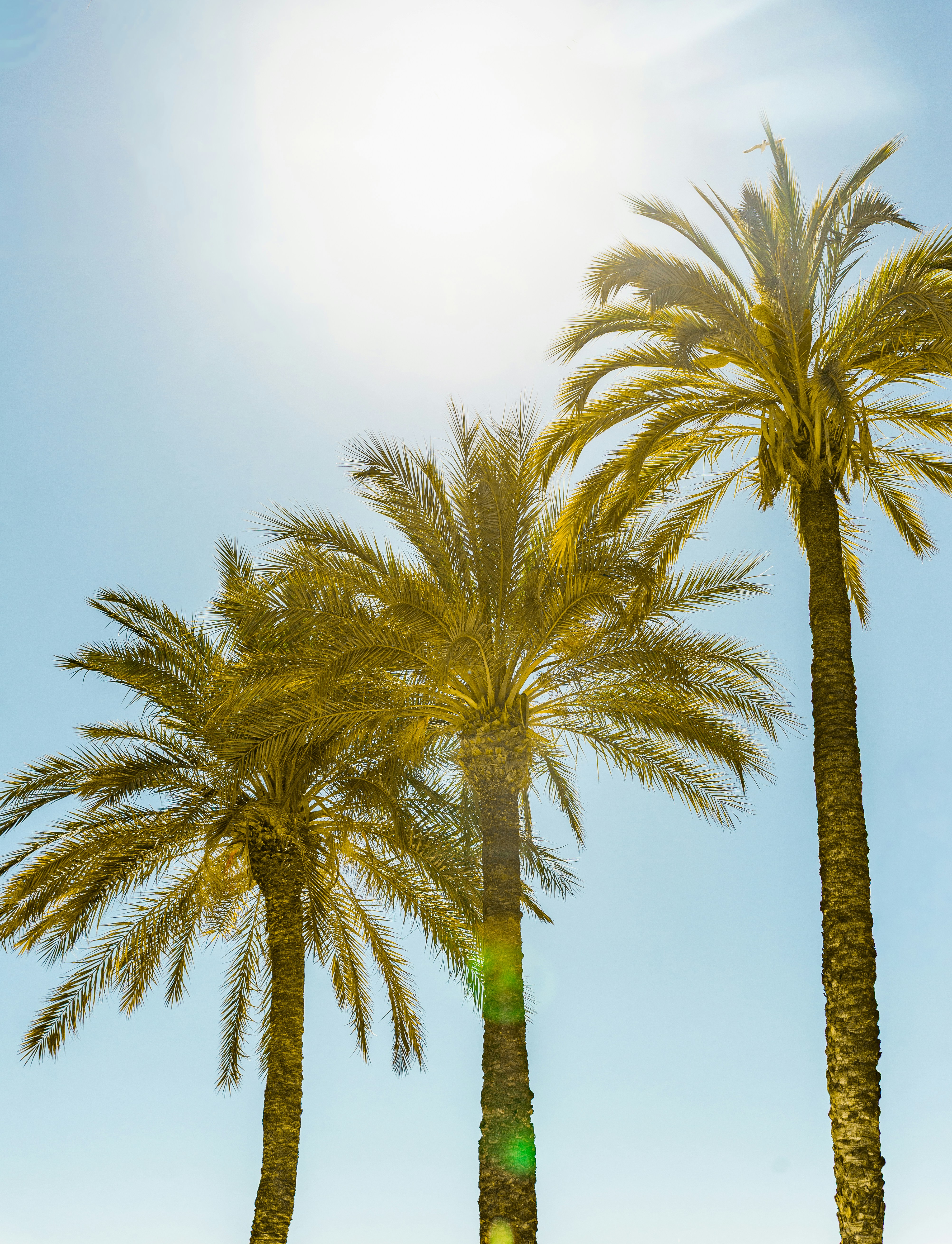 Photo by mxnuel_2309