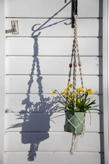 A macrame plant hanger with daffodils hangs yellow daffodils