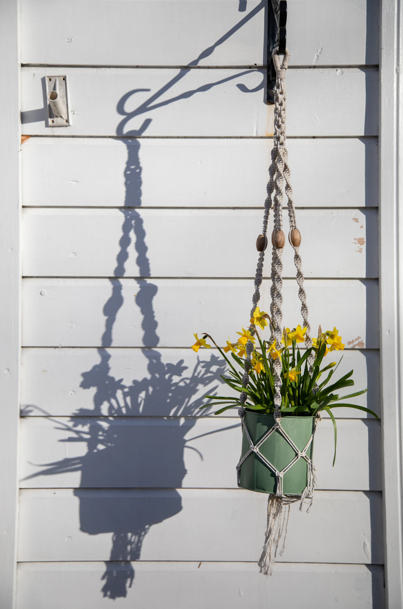 Suporte de macramê com vaso de flores amarelas, combinando fibra natural e planta